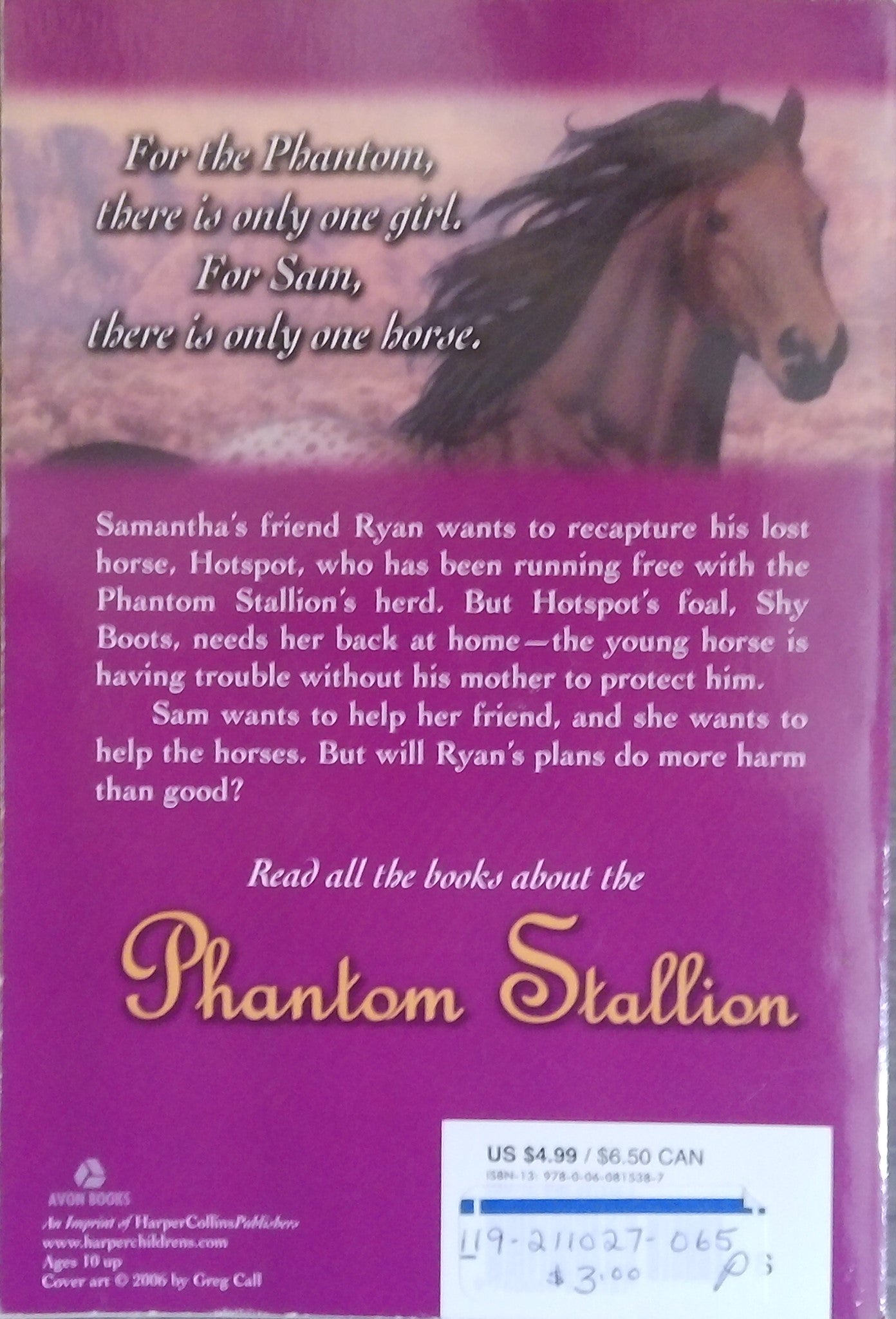 Phantom Stallion: Dawn Runner