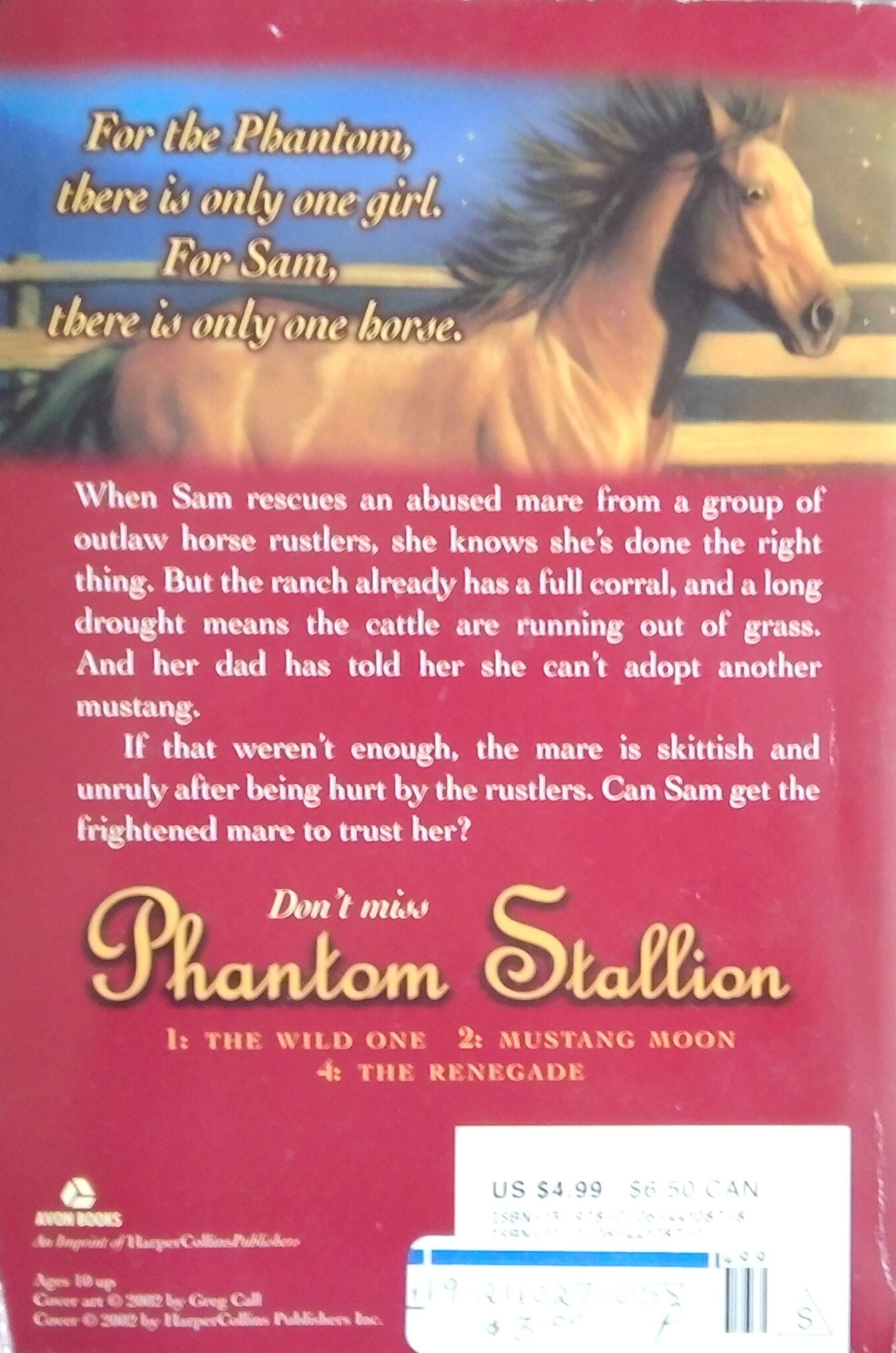 Phantom Stallion: Dark Sunshine
