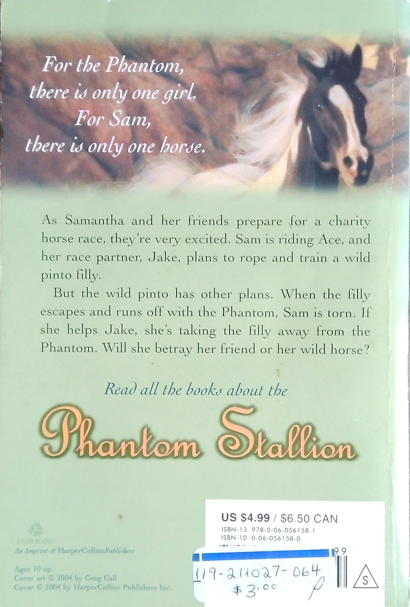 Phantom Stallion: Red Feather Filly