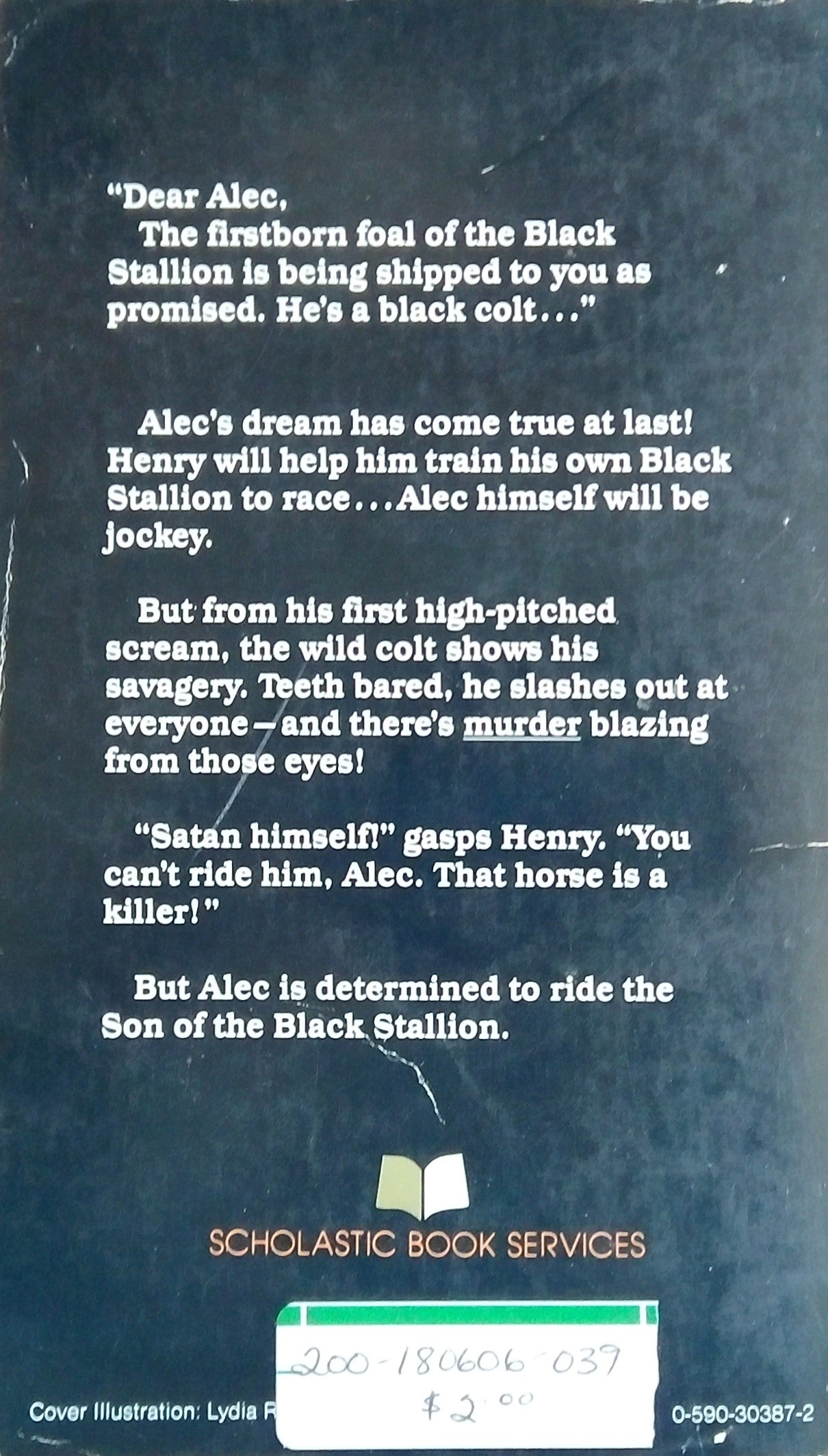 Son of the Black Stallion