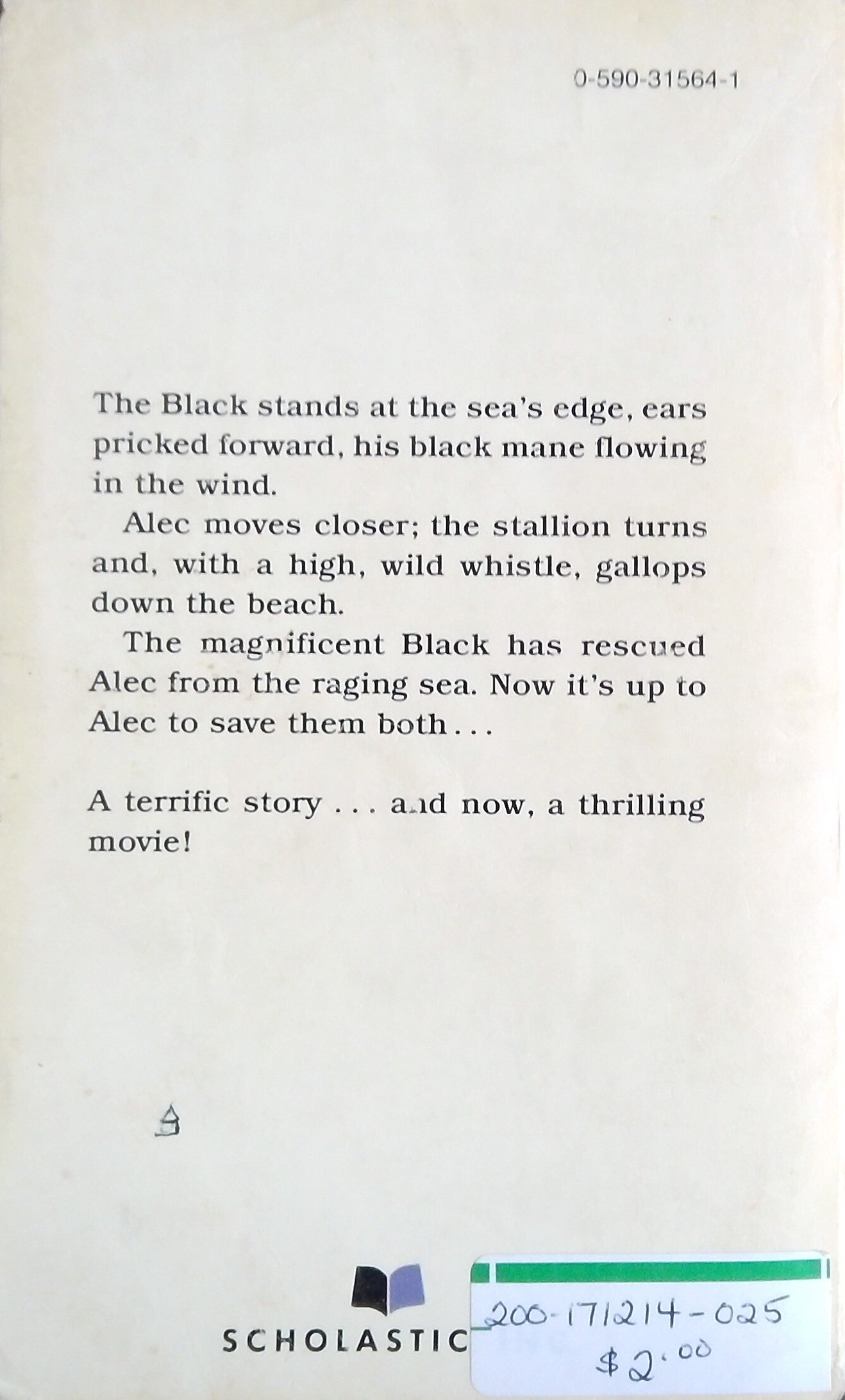 The Black Stallion