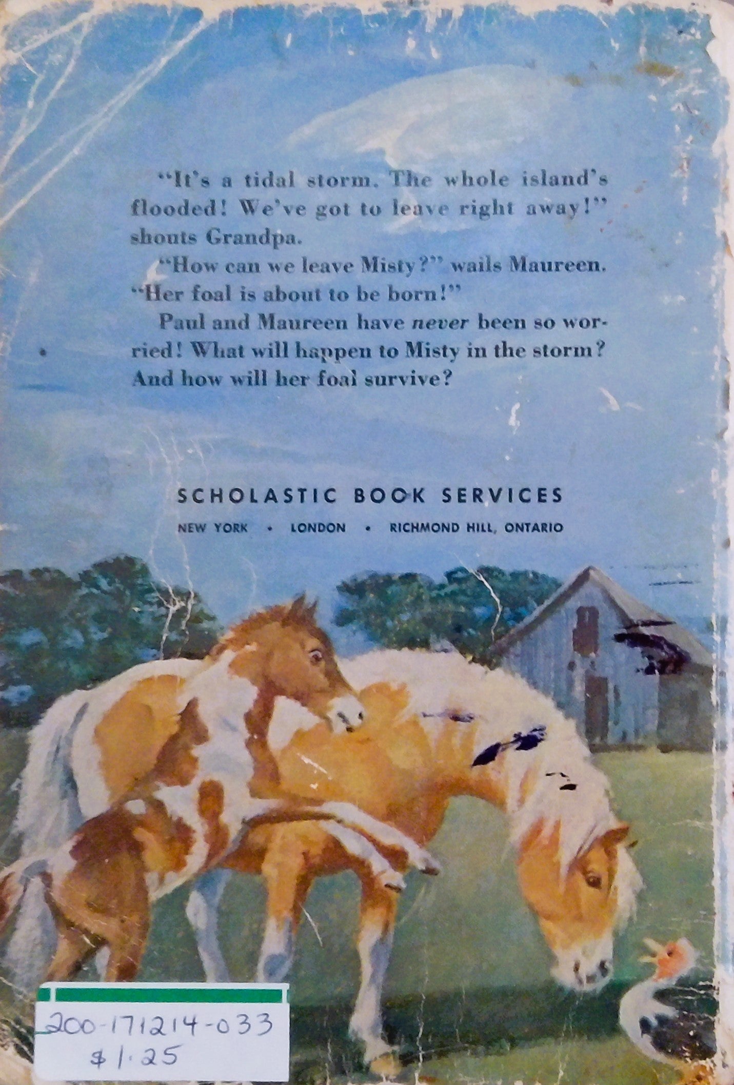 Stormy. Misty's Foal