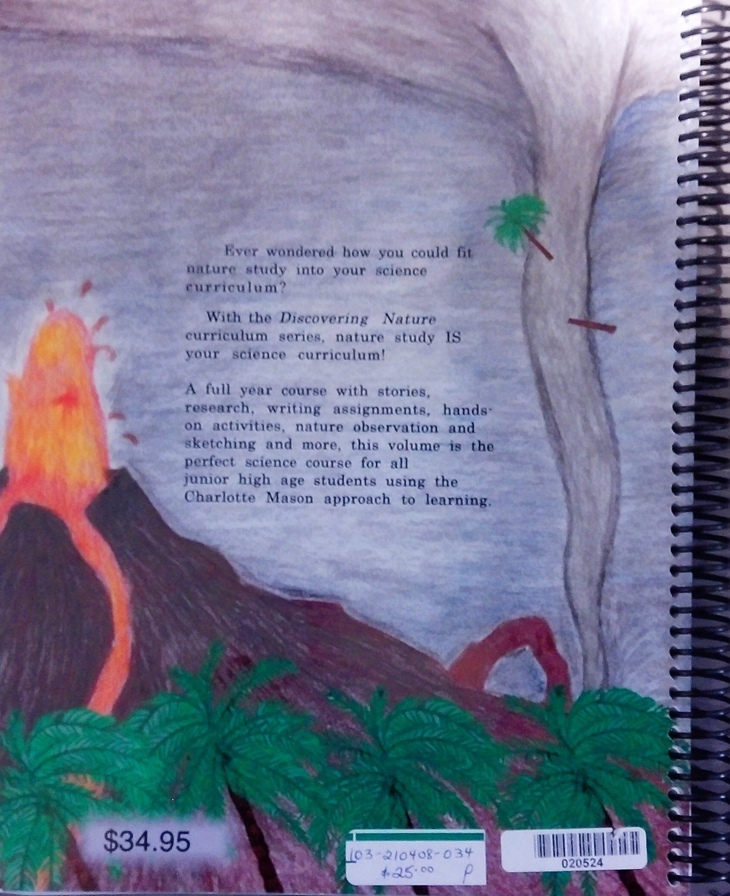 Let The Rocks Cry Out