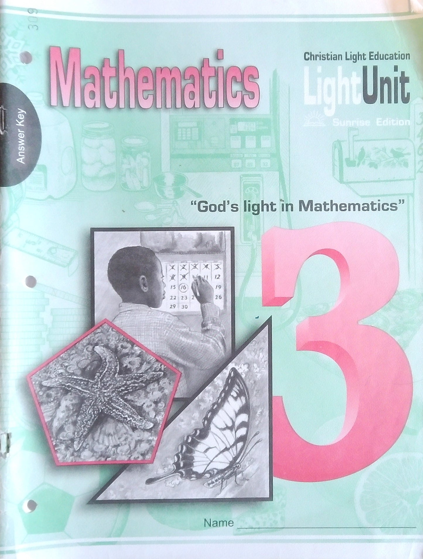 CLE Mathematics: L.U. 309 Answer Key
