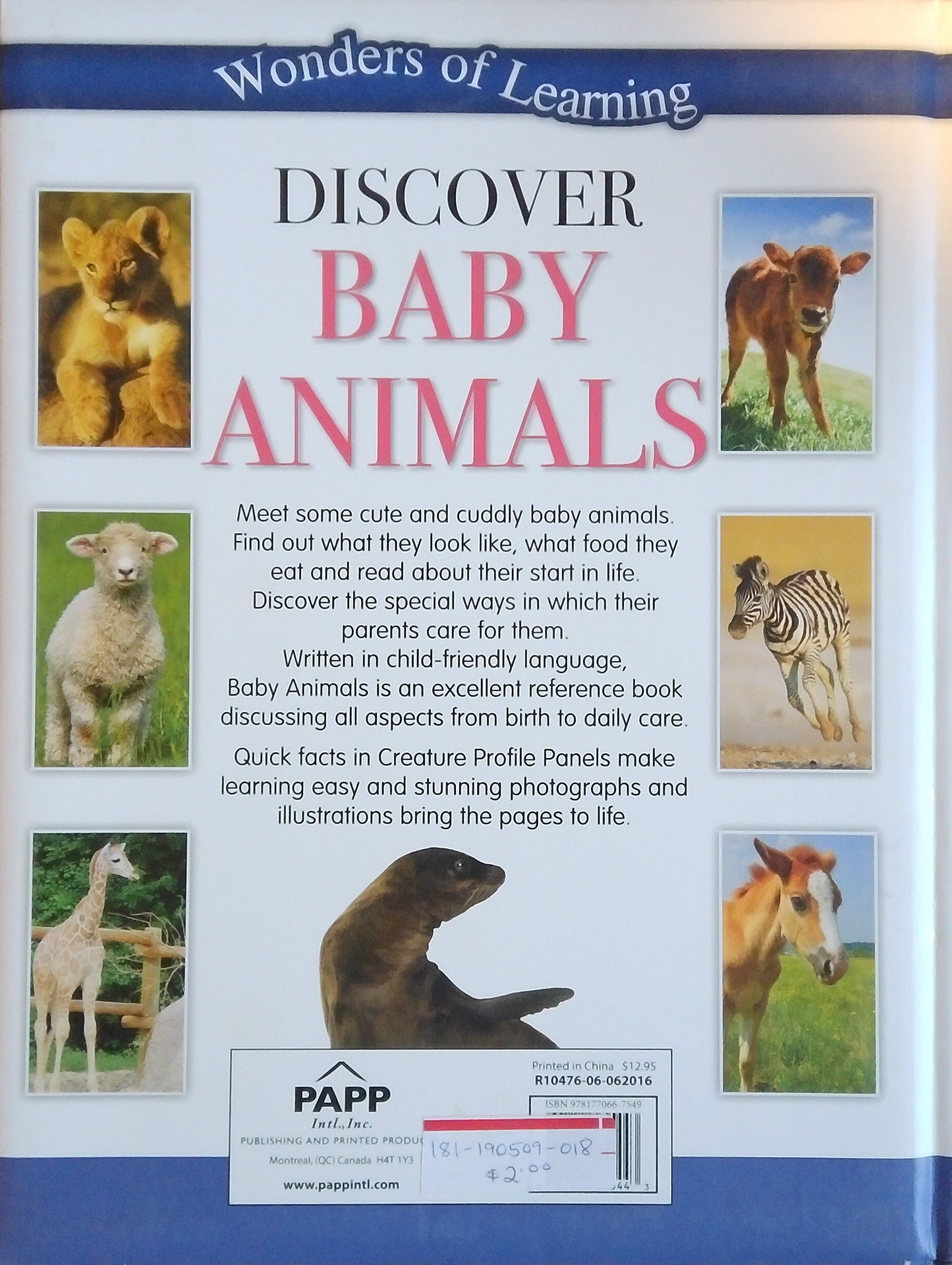 Discover Baby Animals