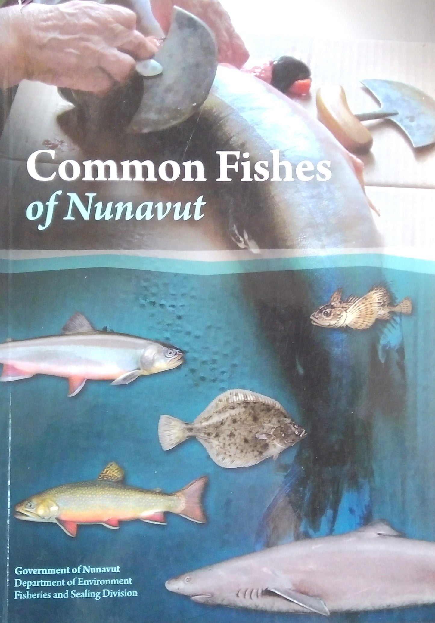 Common Fishes Of Nunavut