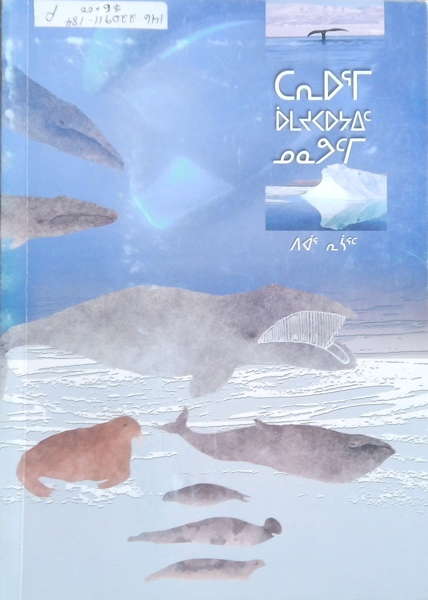 Marine Mammals Of Nunavut