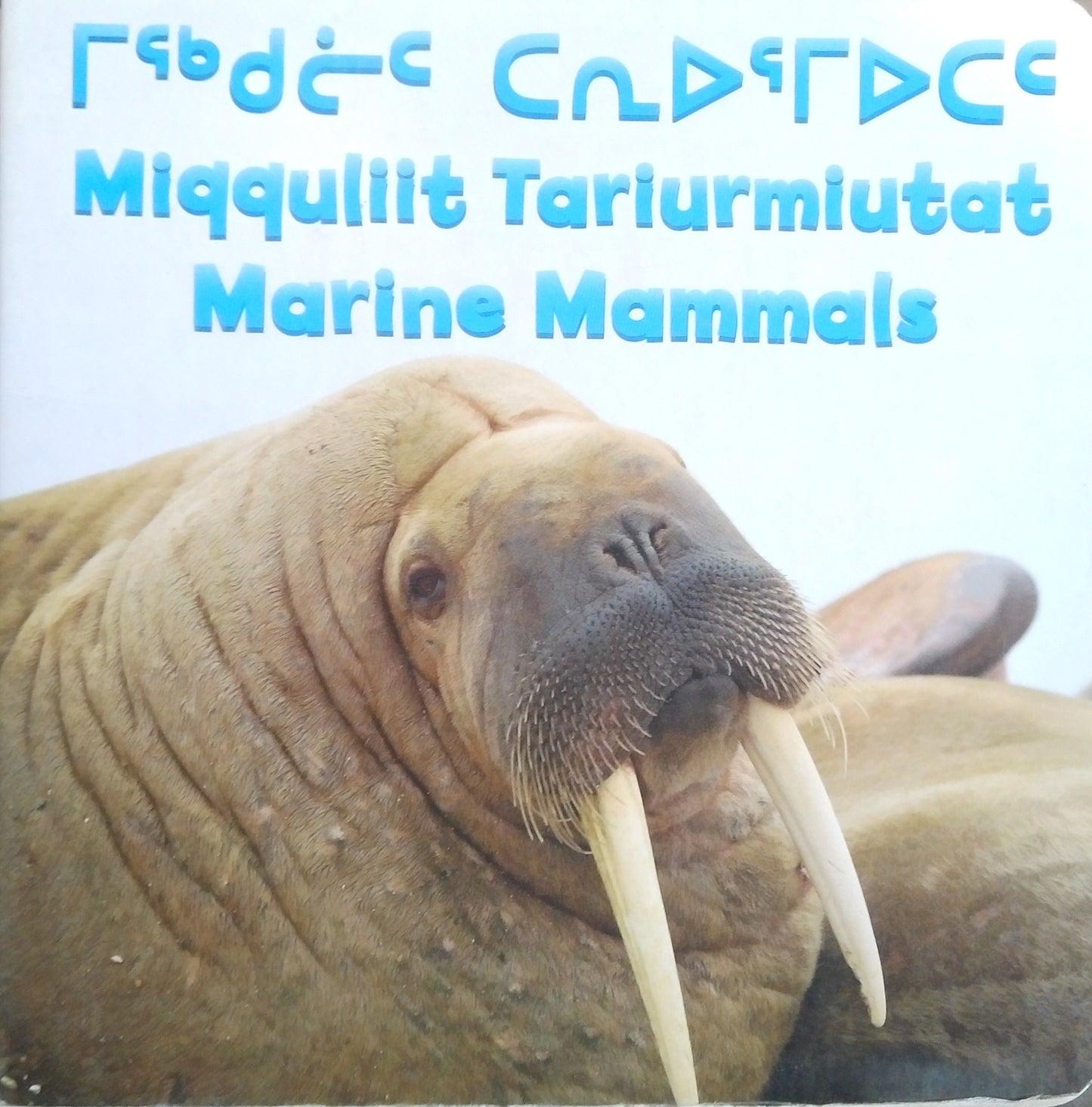 Marine Mammals