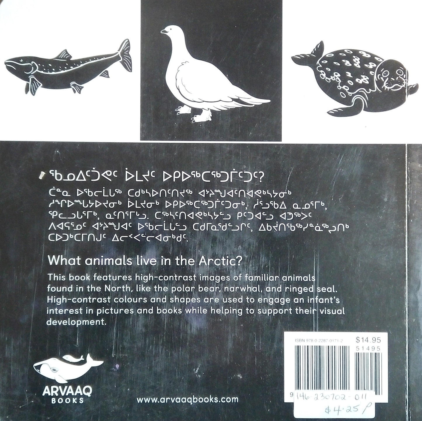 Animals Of The North