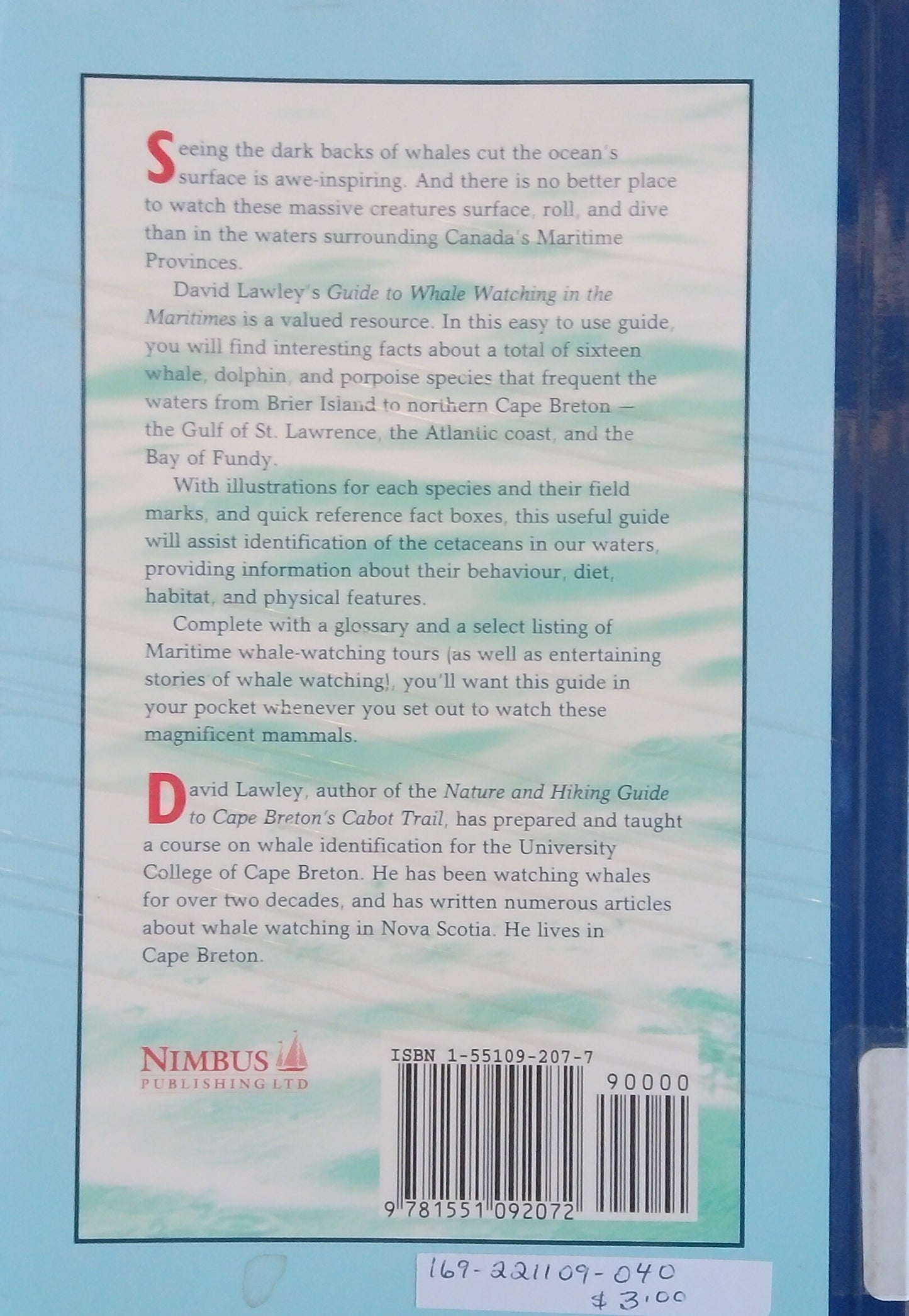 A Guide To Whale Watching In The Maritimes