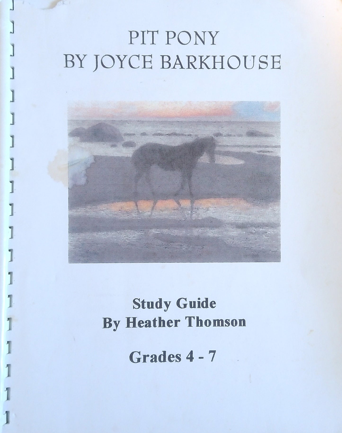 Pit Pony Study Guide