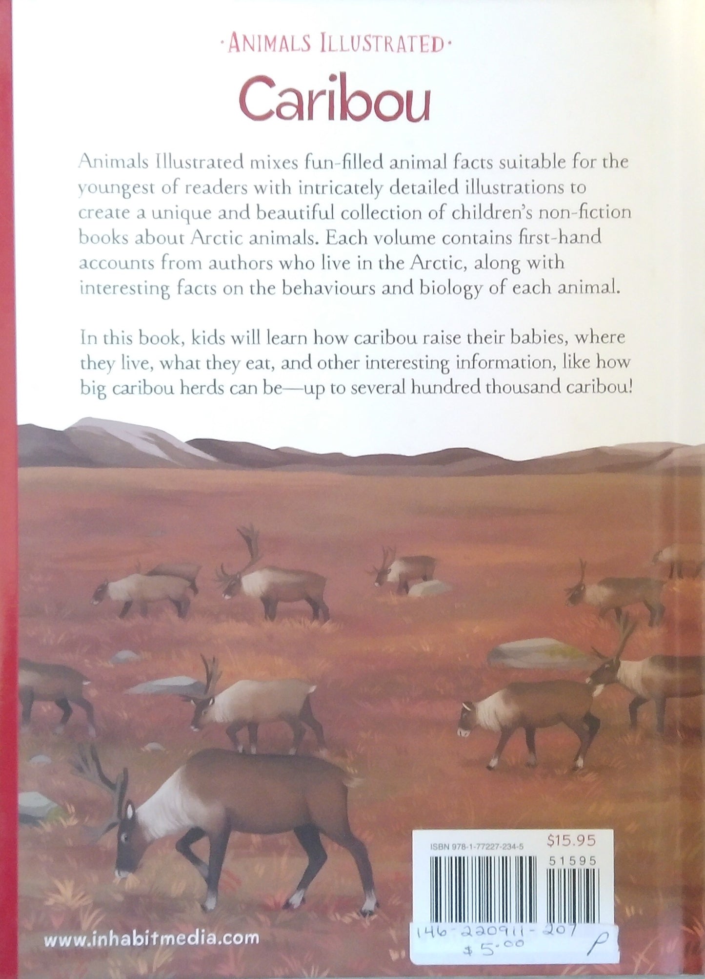 Animals Illustrated: Caribou