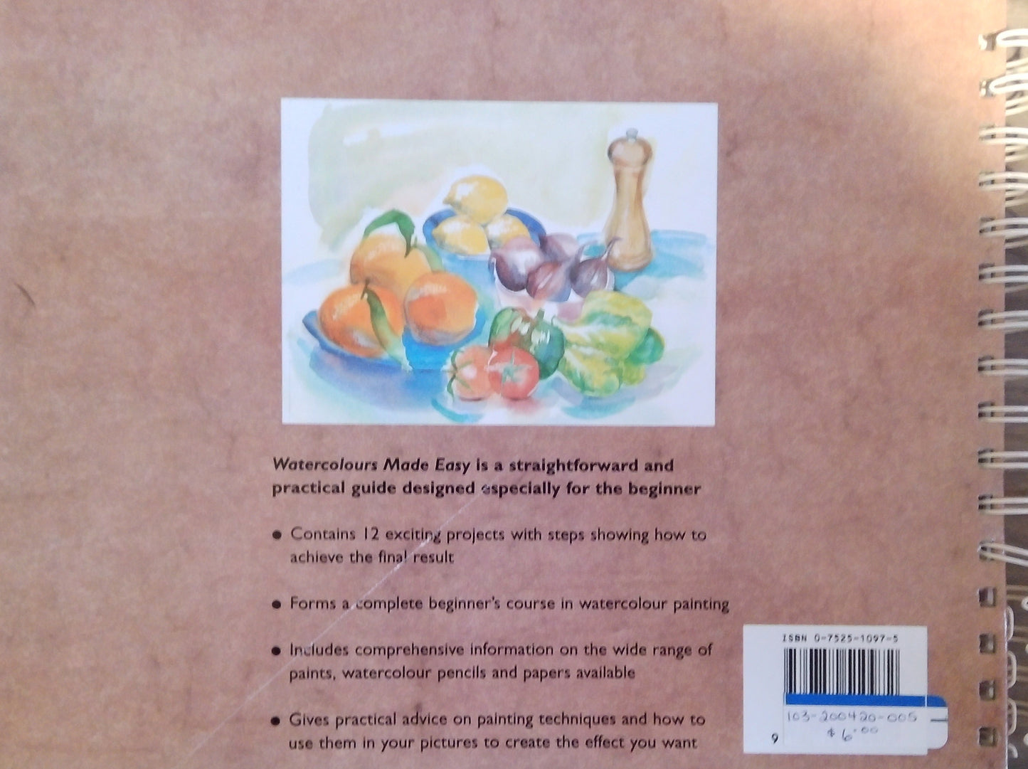 Watercolours Made Easy