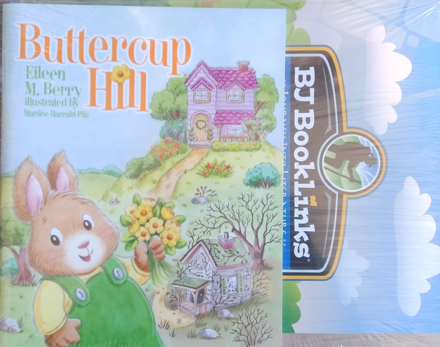 BJ Booklinks: Buttercup Hill Set