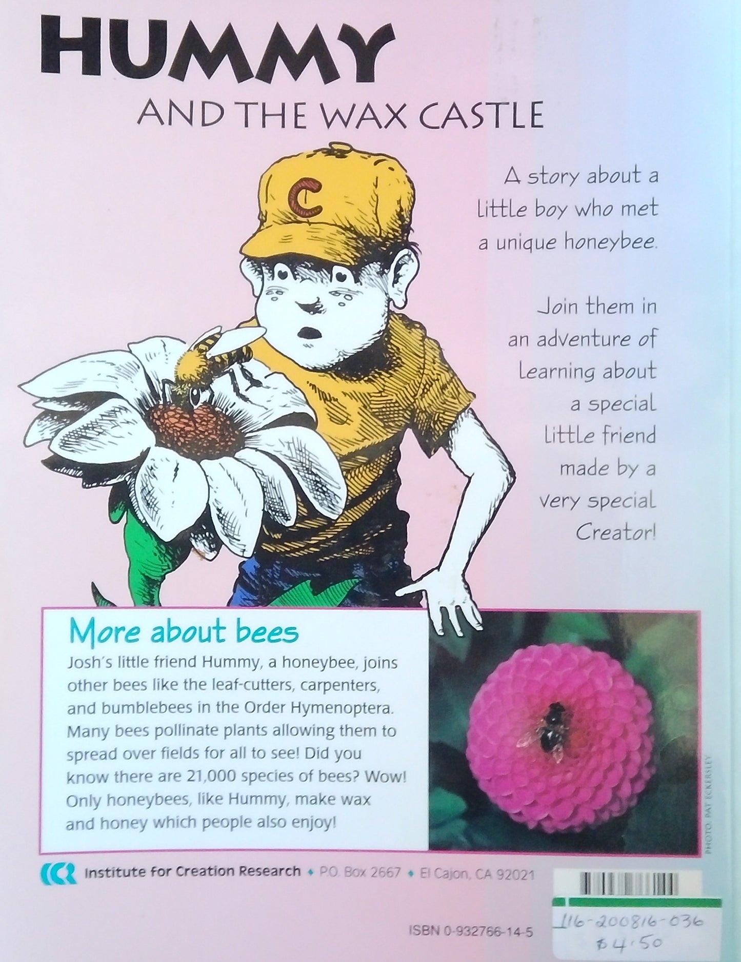 Hummy And The Wax Castle