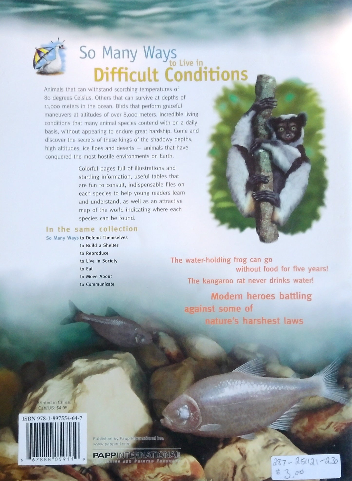 So Many Ways To Live In Difficult Conditions