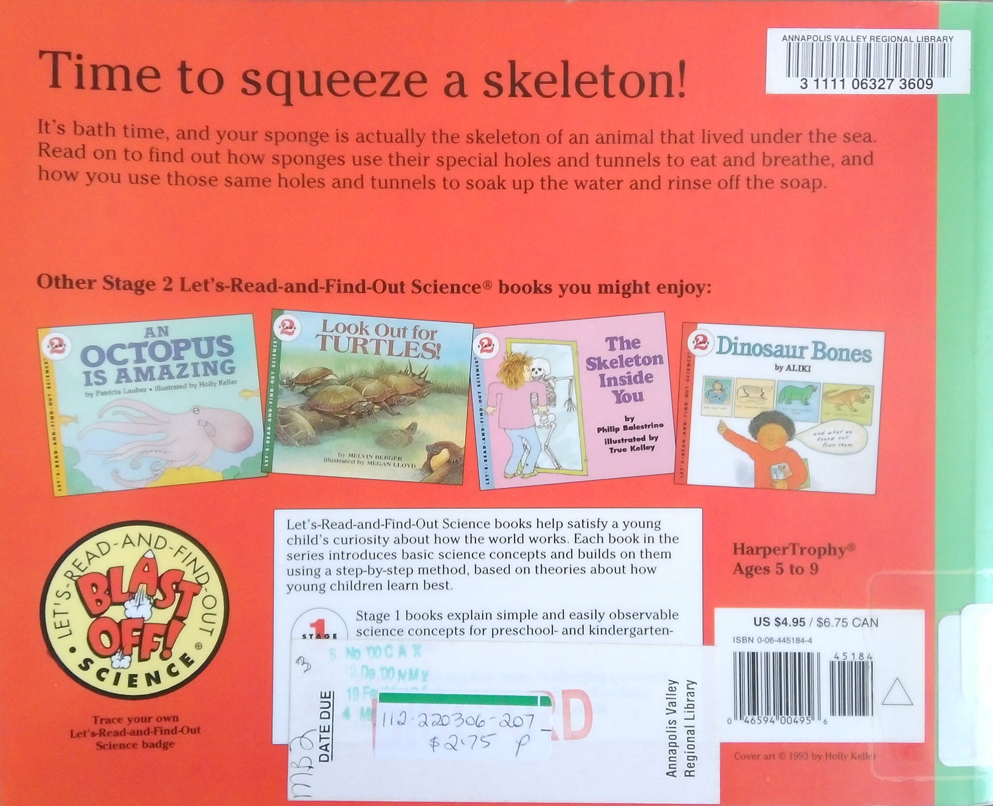 Sponges Are Skeletons