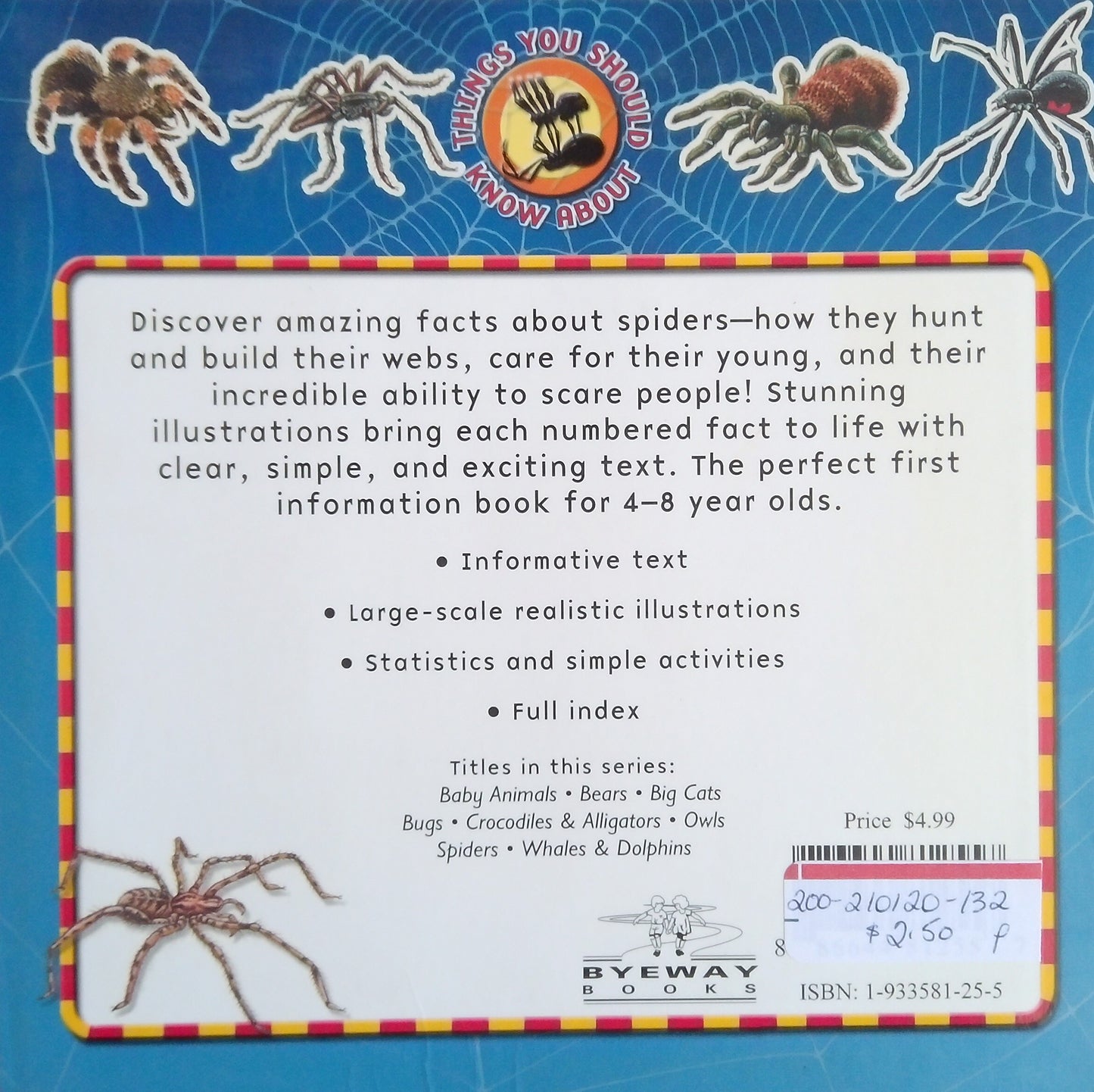 Things You Should Know About Spiders
