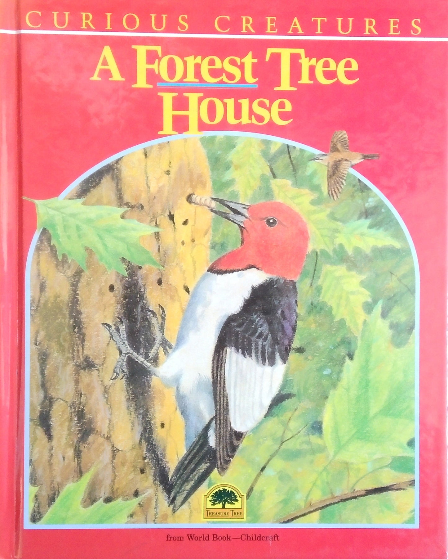 Curious Creatures: A Forest Tree House