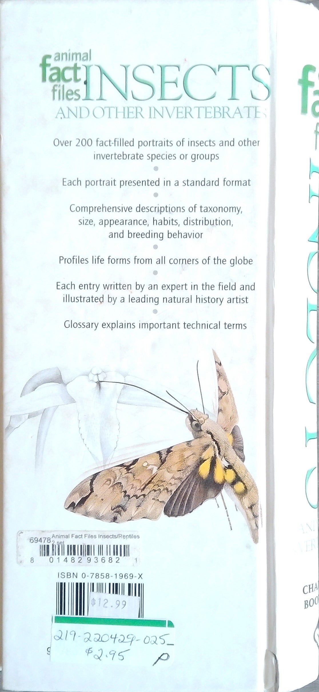 Animal Fact Files: Insects And Other Invertebrates