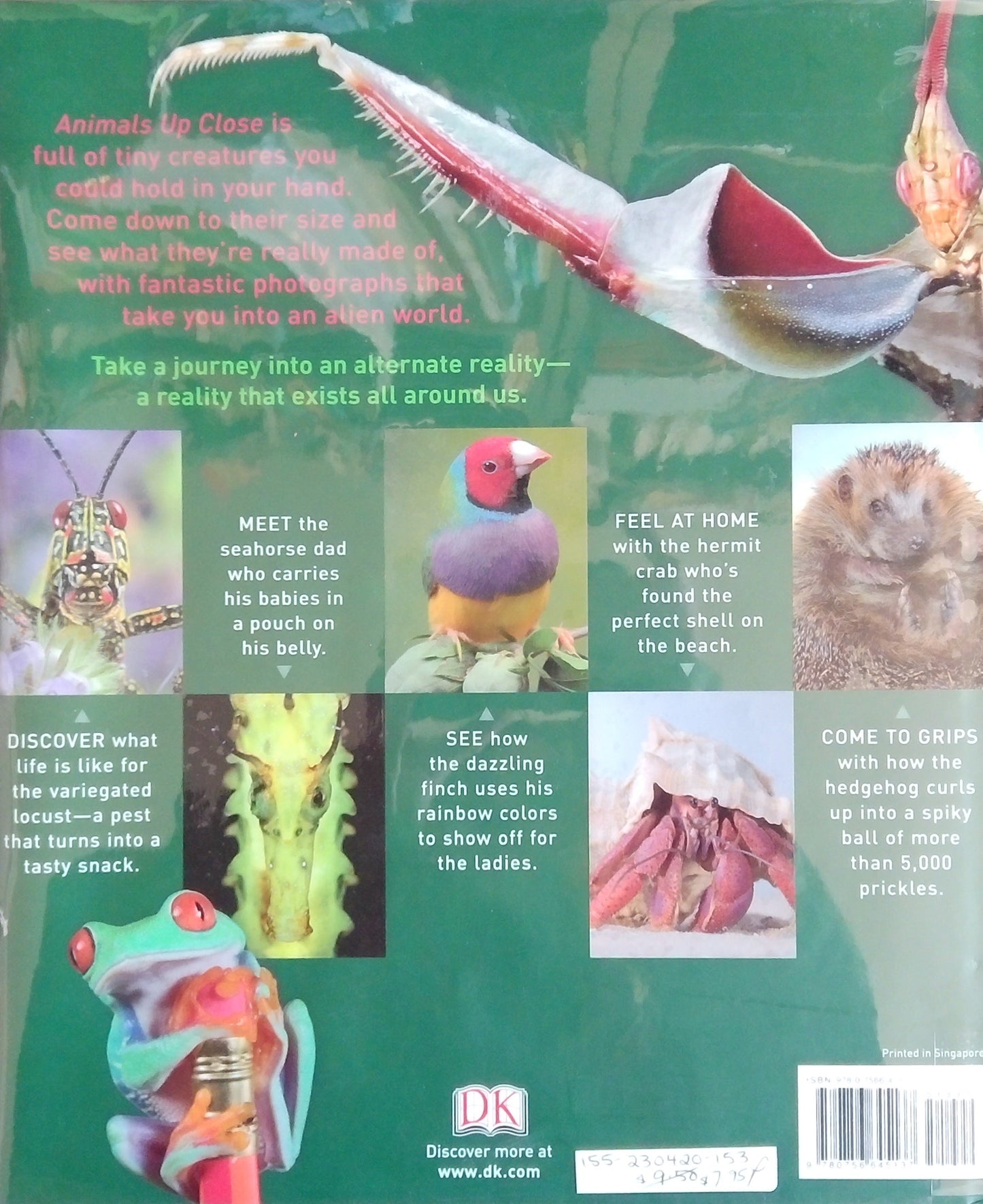 Animals Up Close