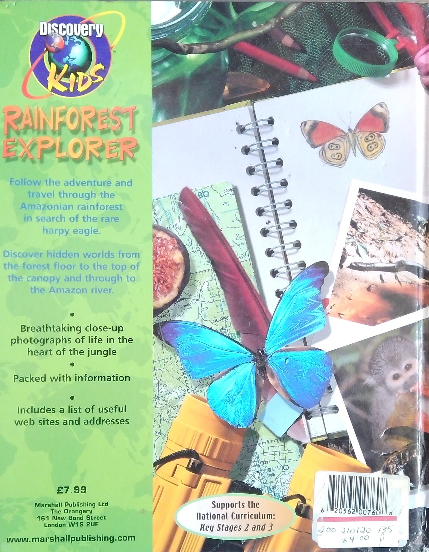 Rainforest Explorer