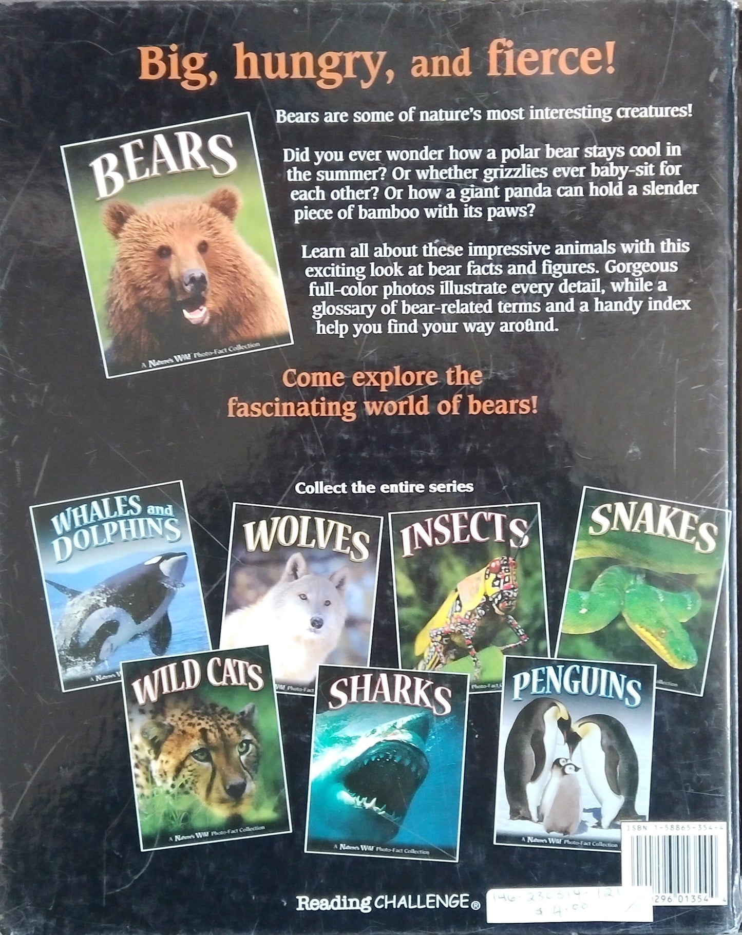 Bears