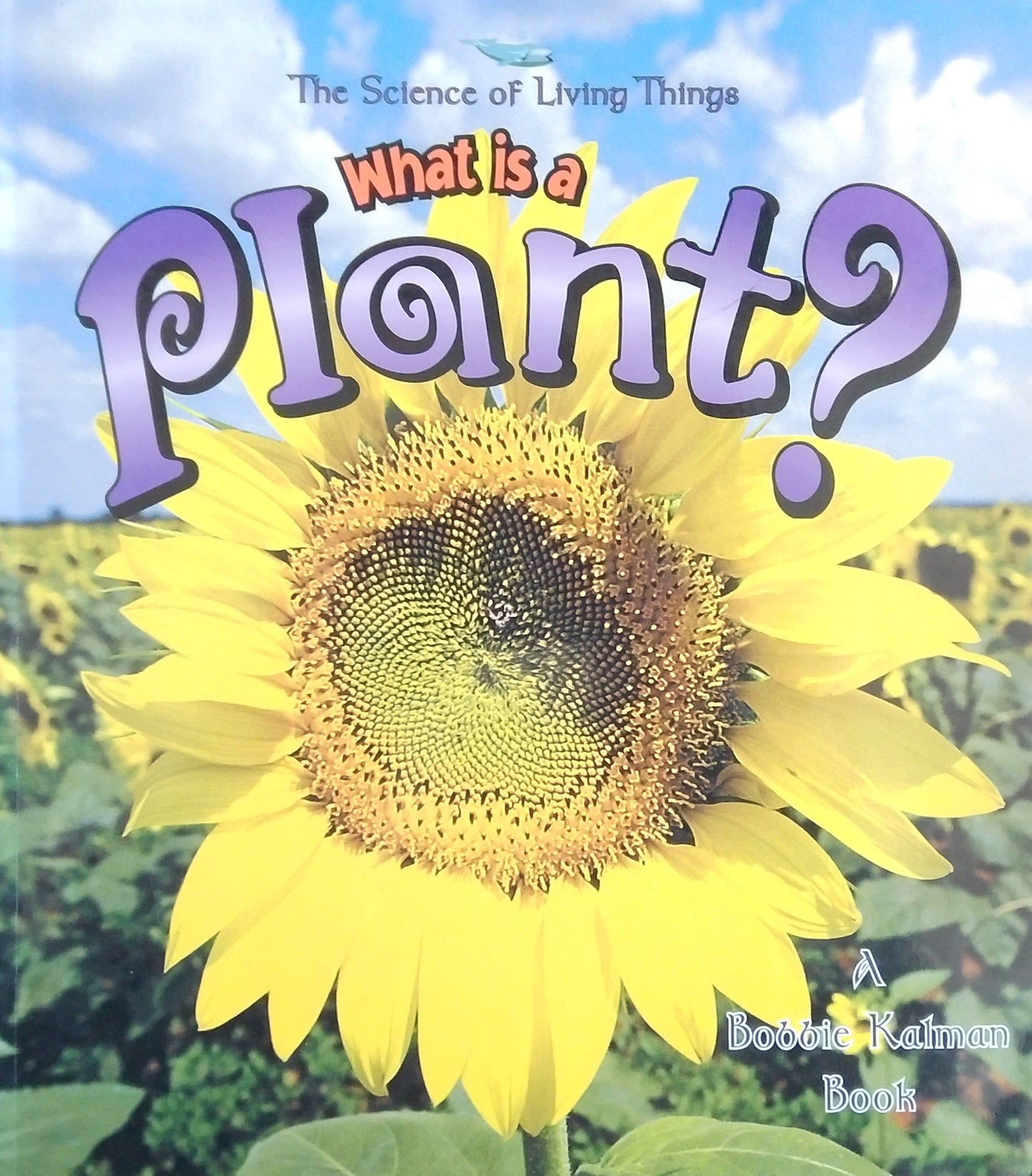 What Is A Plant?