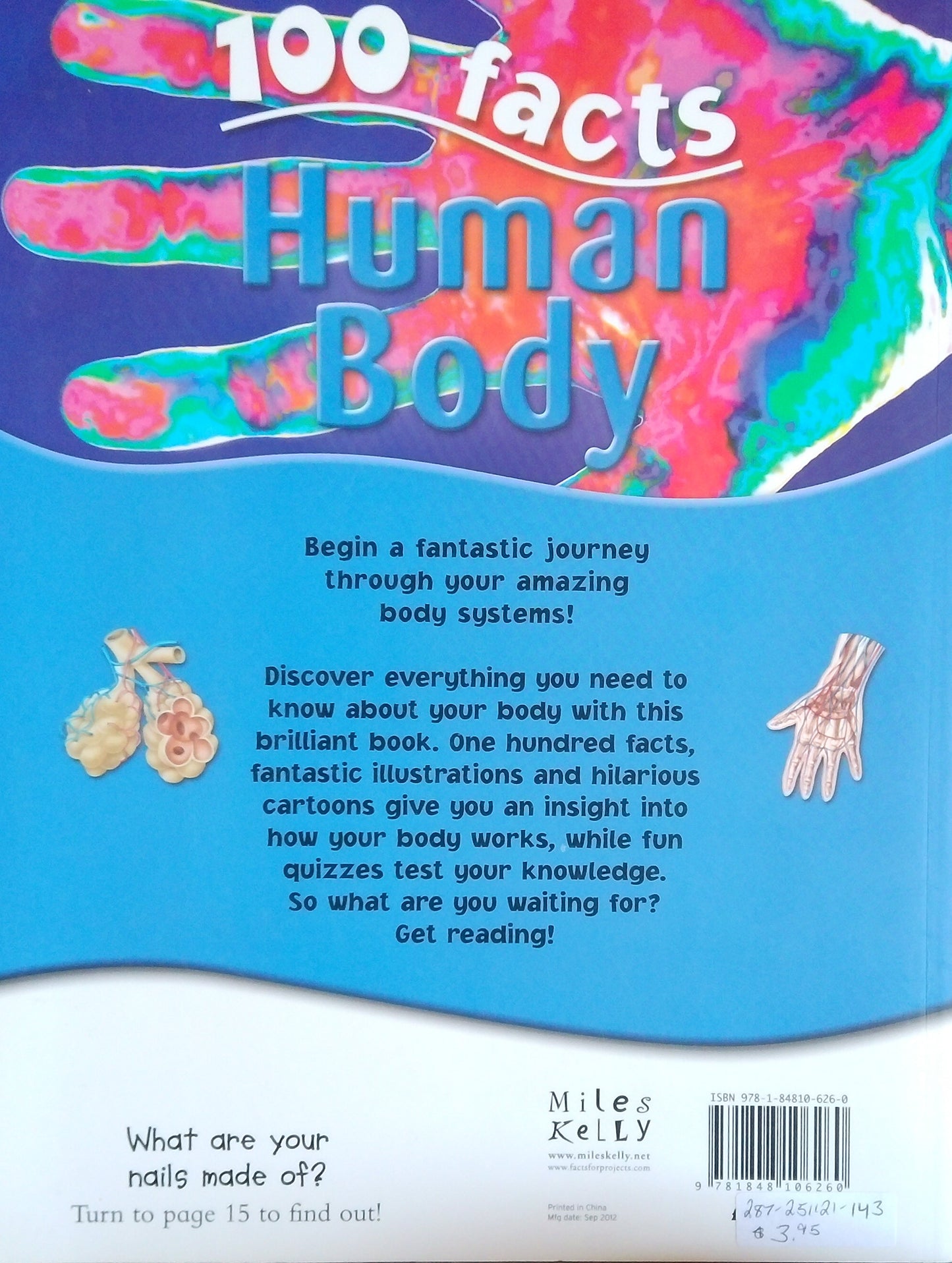 100 Facts: Human Body