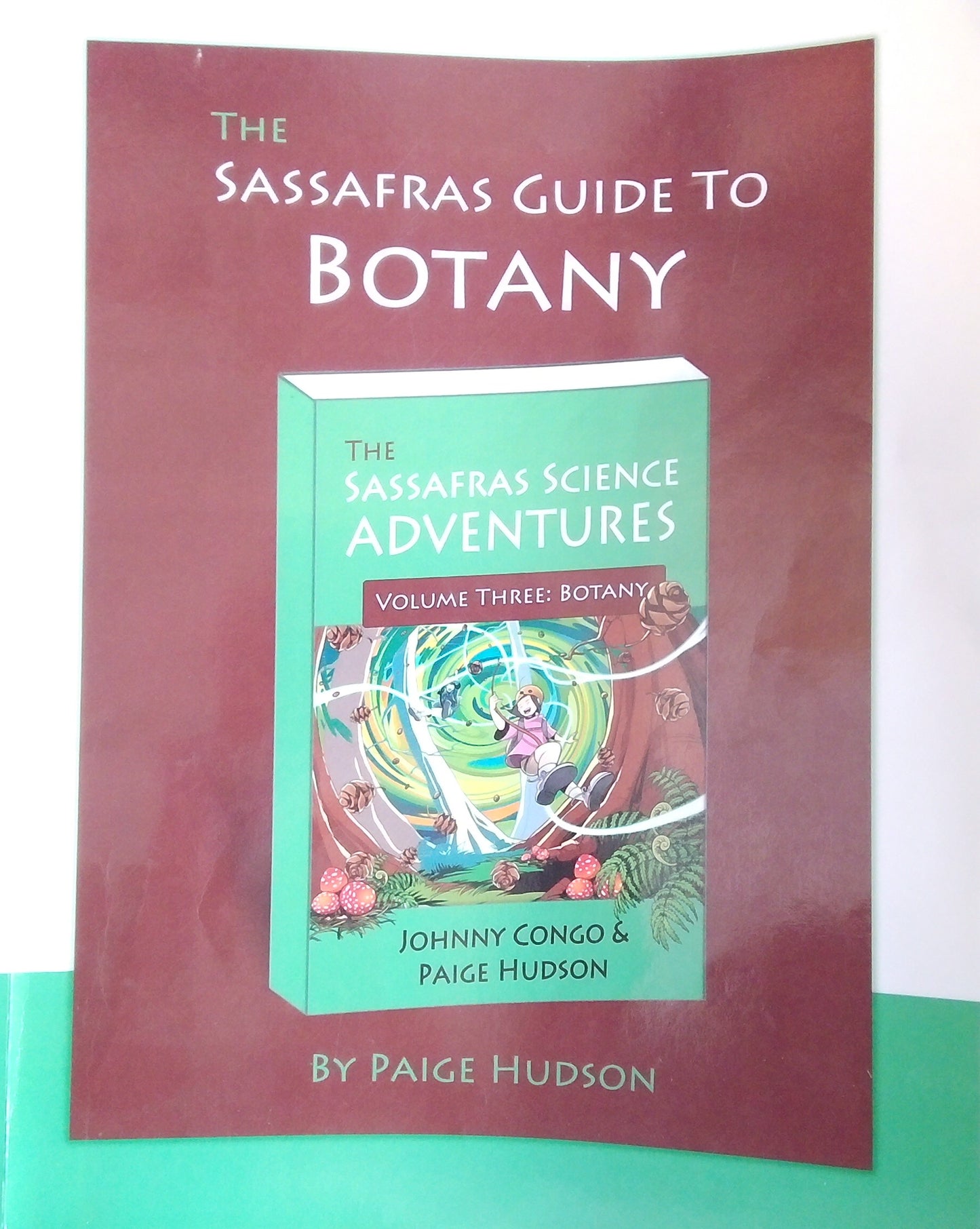 The Sassafras Guide To Botany