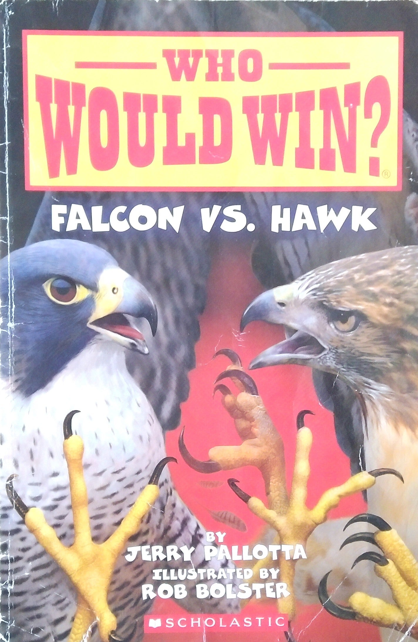 Who Would Win? Falcon vs. Hawk