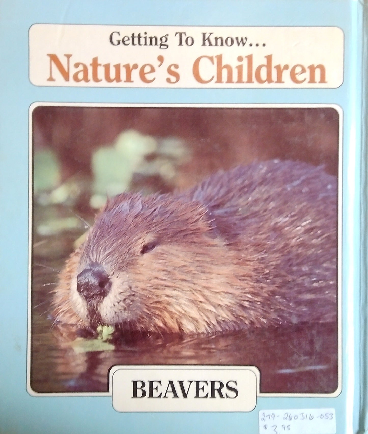 Exploring Nature's Children: Chipmunks/Beavers