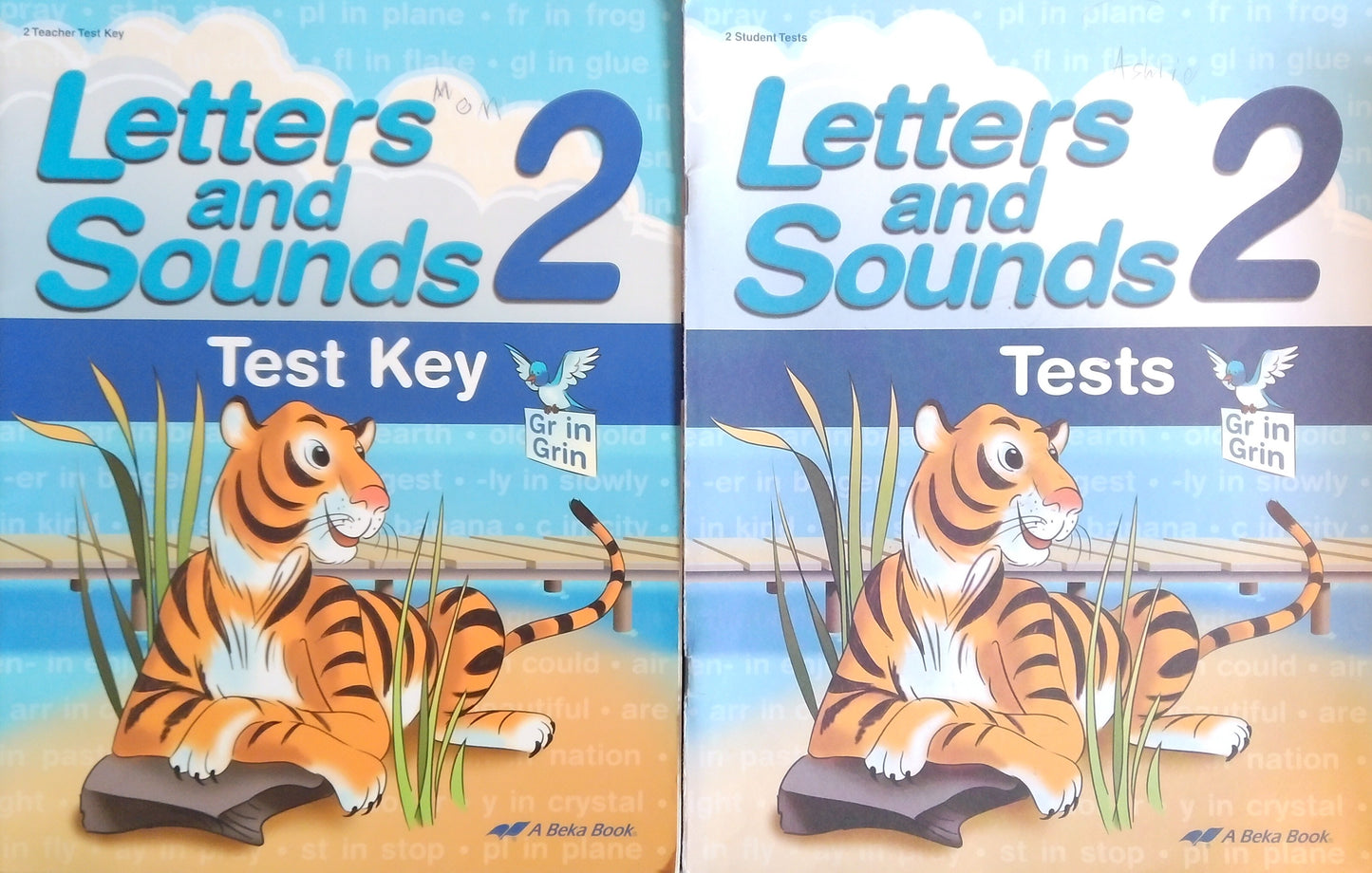 Letters & Sounds 2 Test Bundle