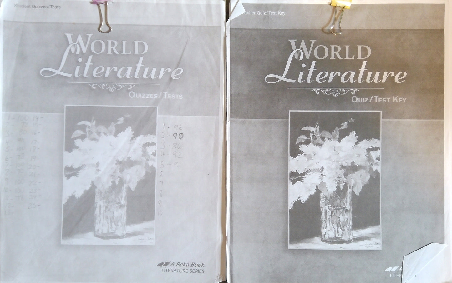World Literature: Quiz/Test Bundle