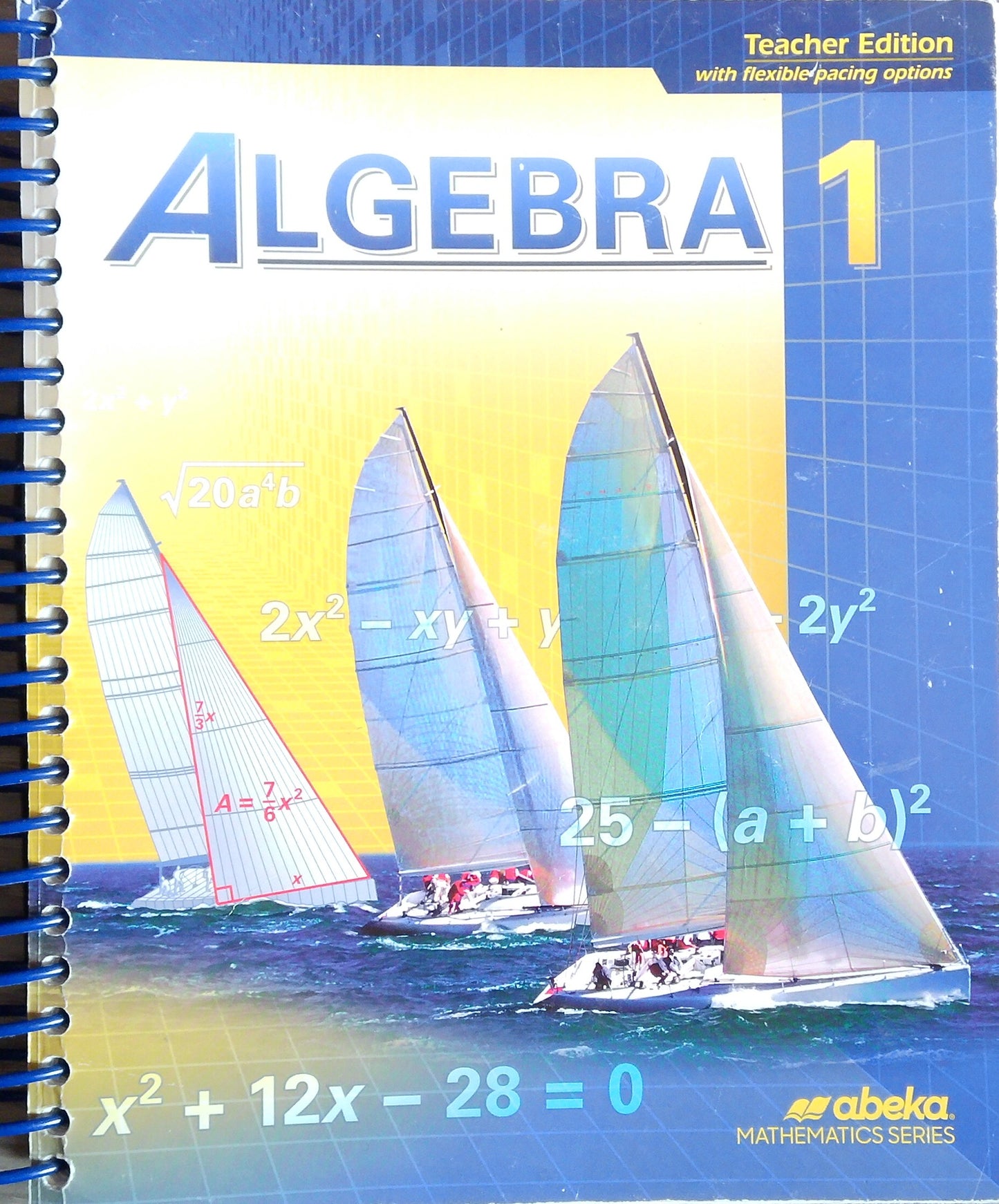 Algebra 1: Teacher Edition
