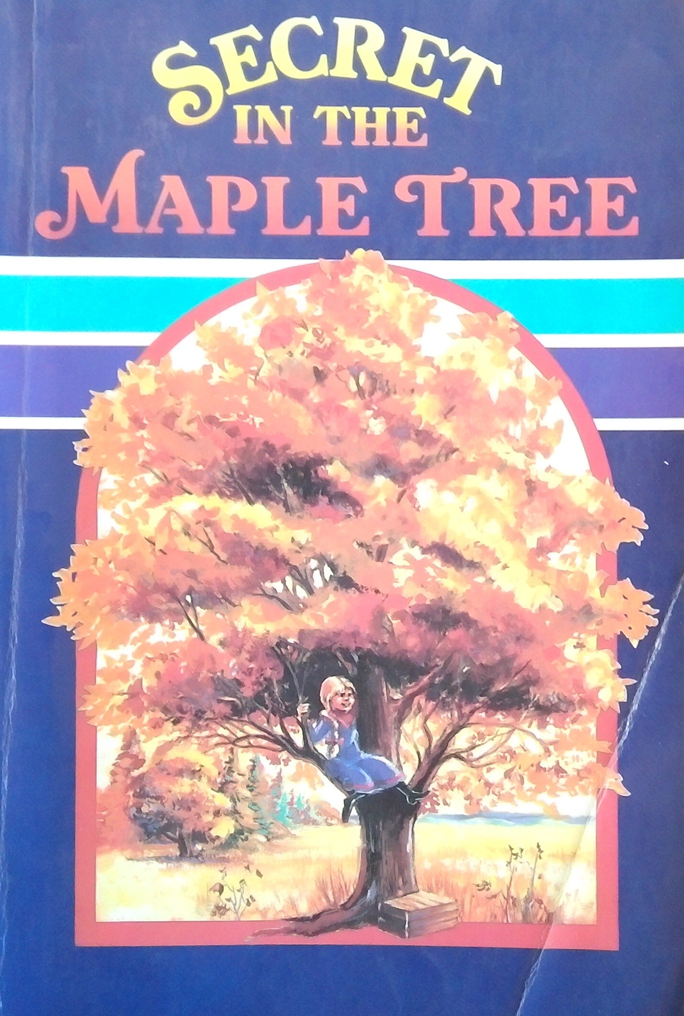 Secret In The Maple Tree