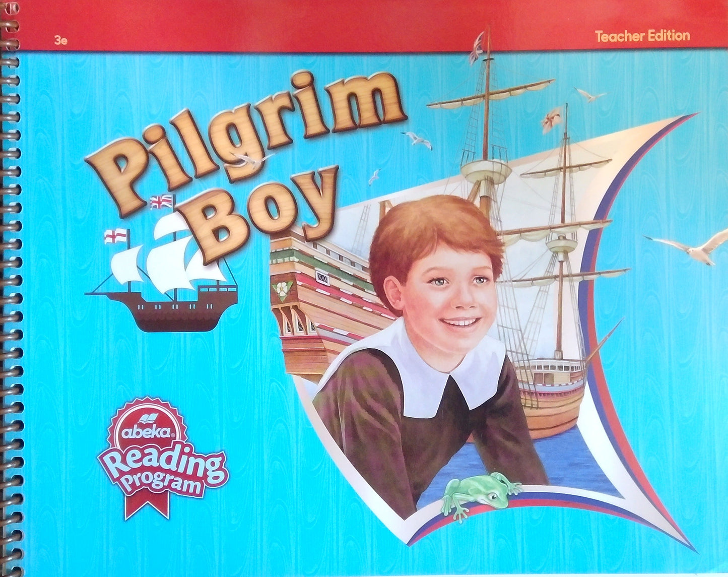 Pilgrim Boy: Teacher Edition