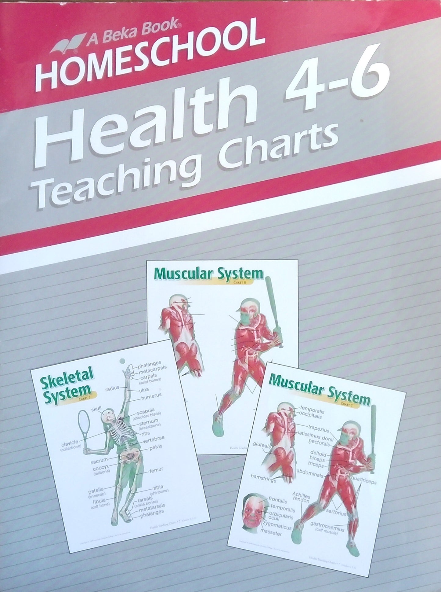 Health 4-6 Teaching Charts