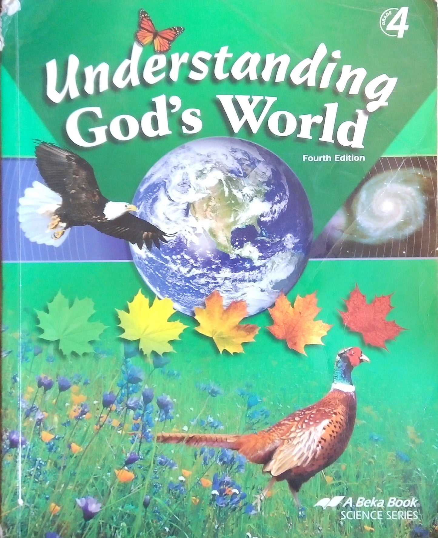 Understanding God's World