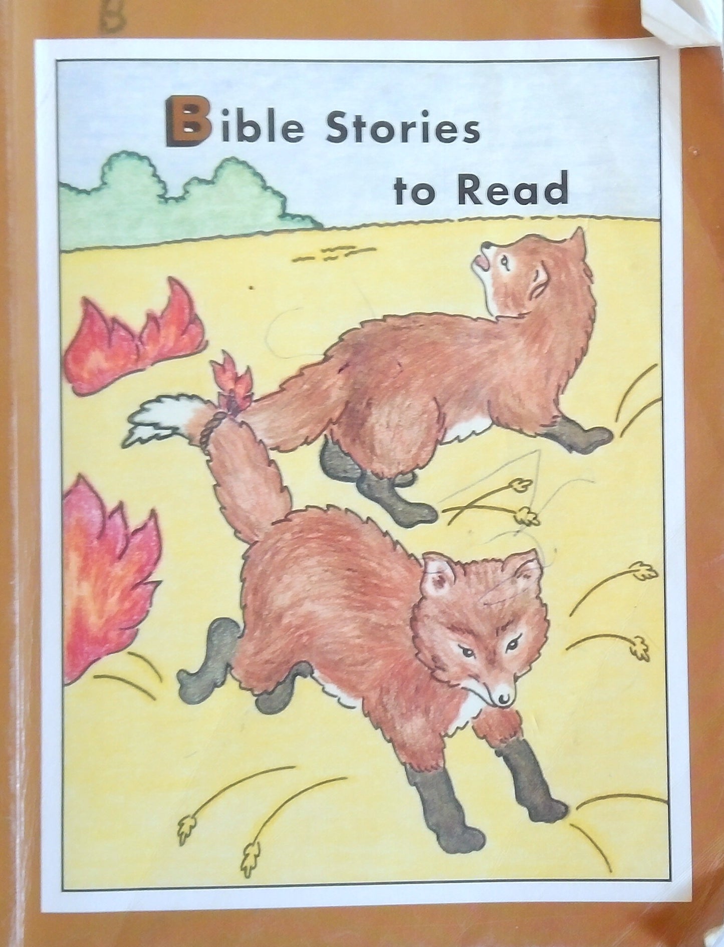 Bible Stories To Read