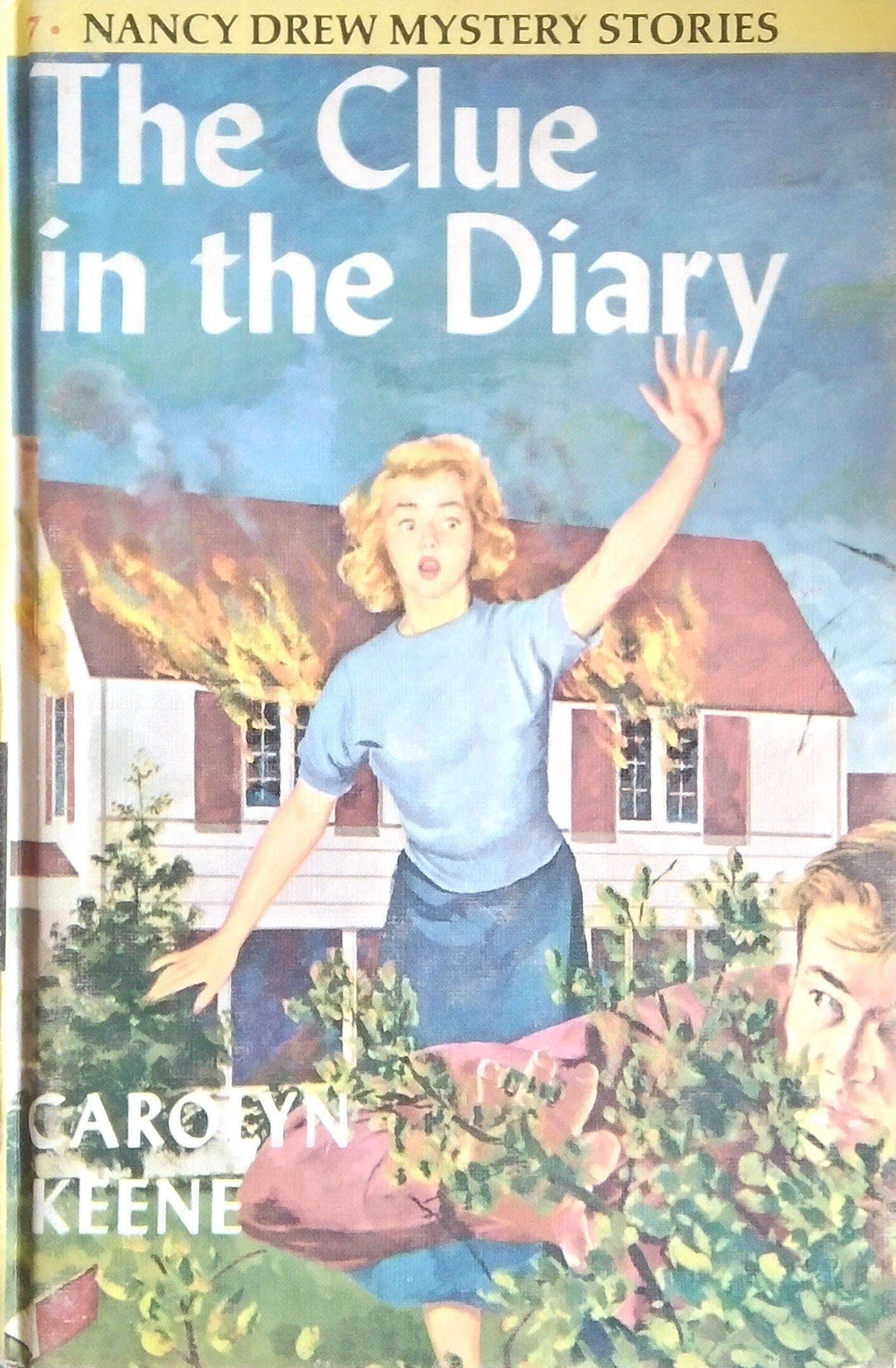 The Clue In The Diary