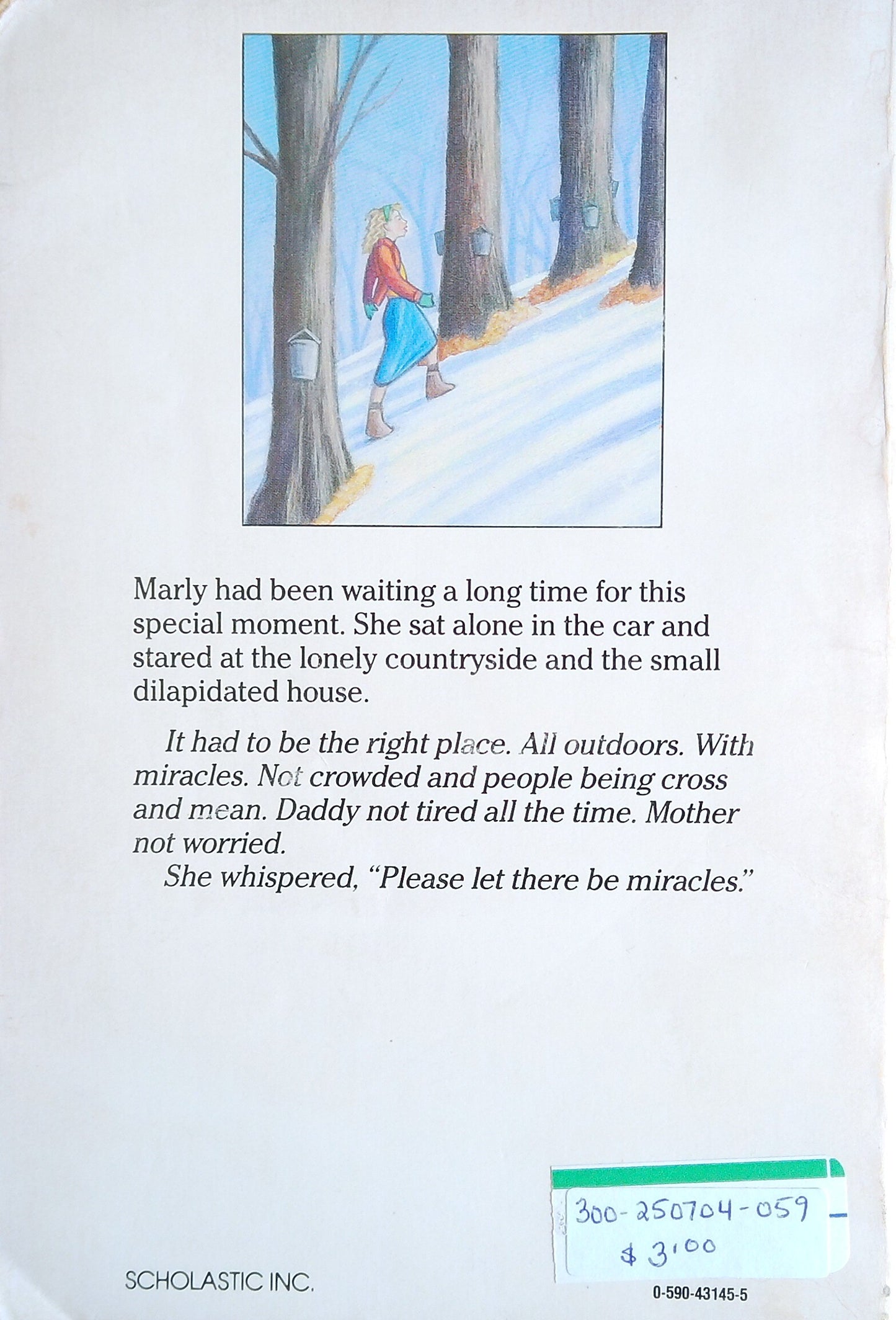 Miracles On Maple Hill