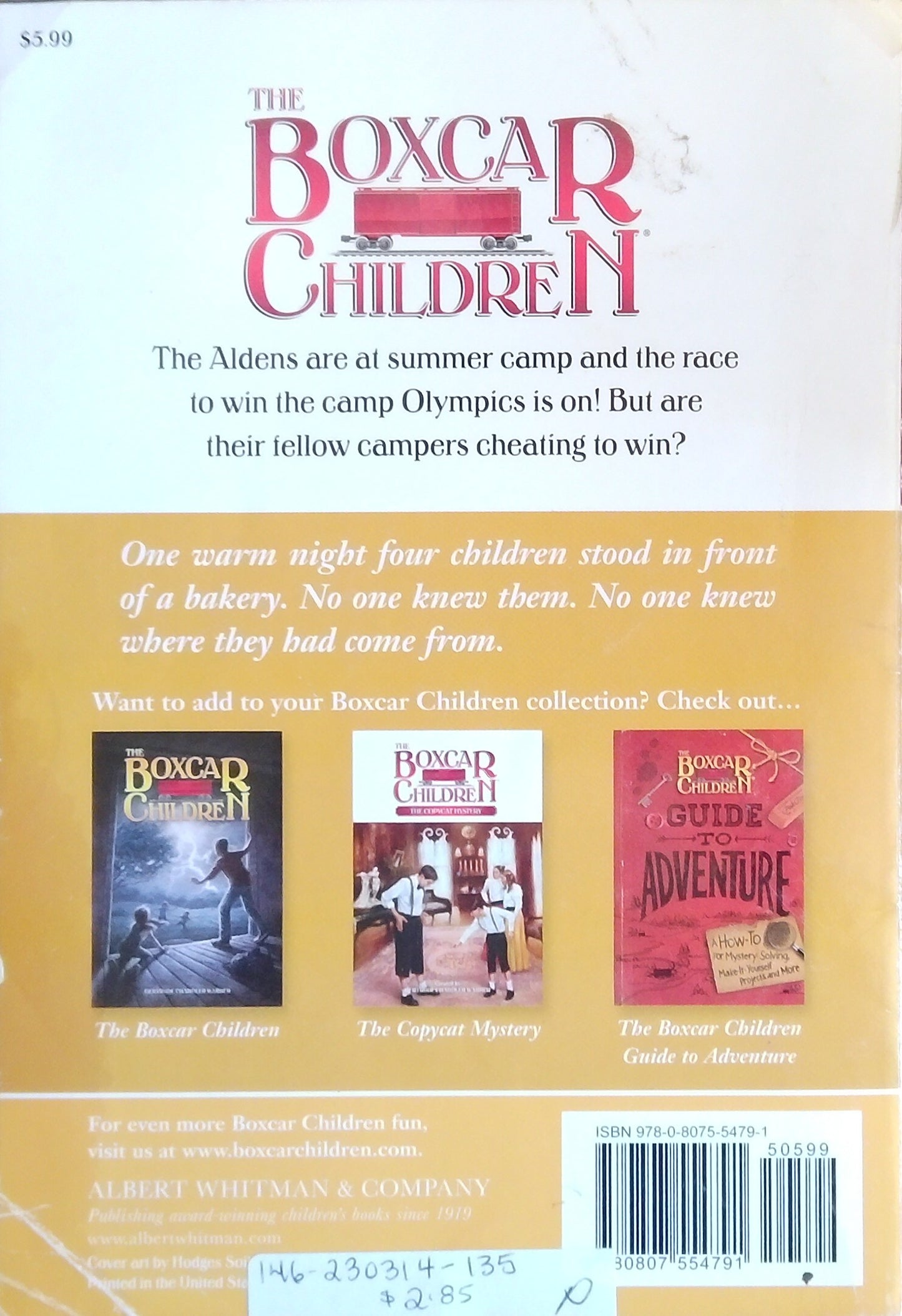 The Summer Camp Mystery