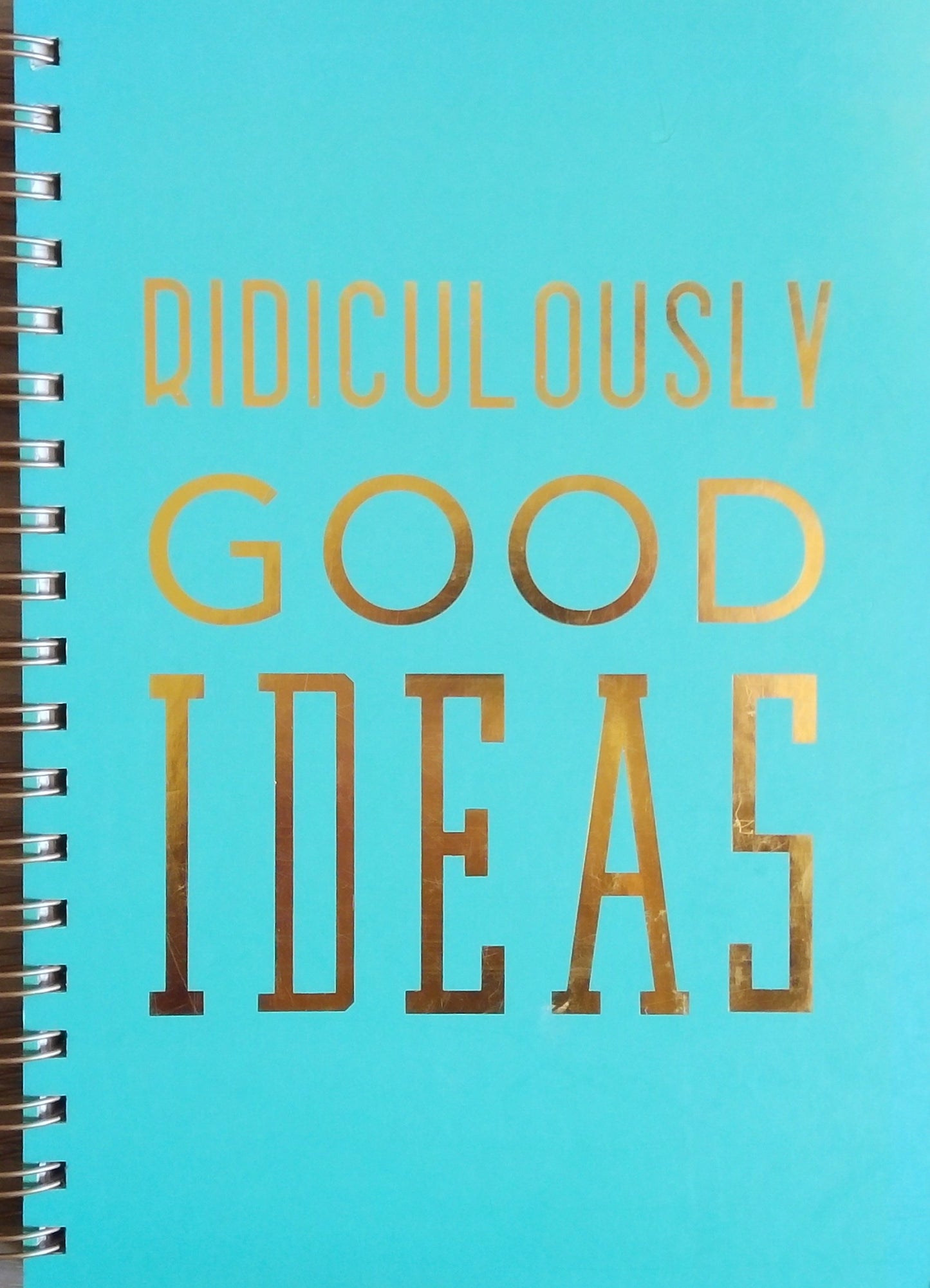 Ridiculously Good Ideas Notebook