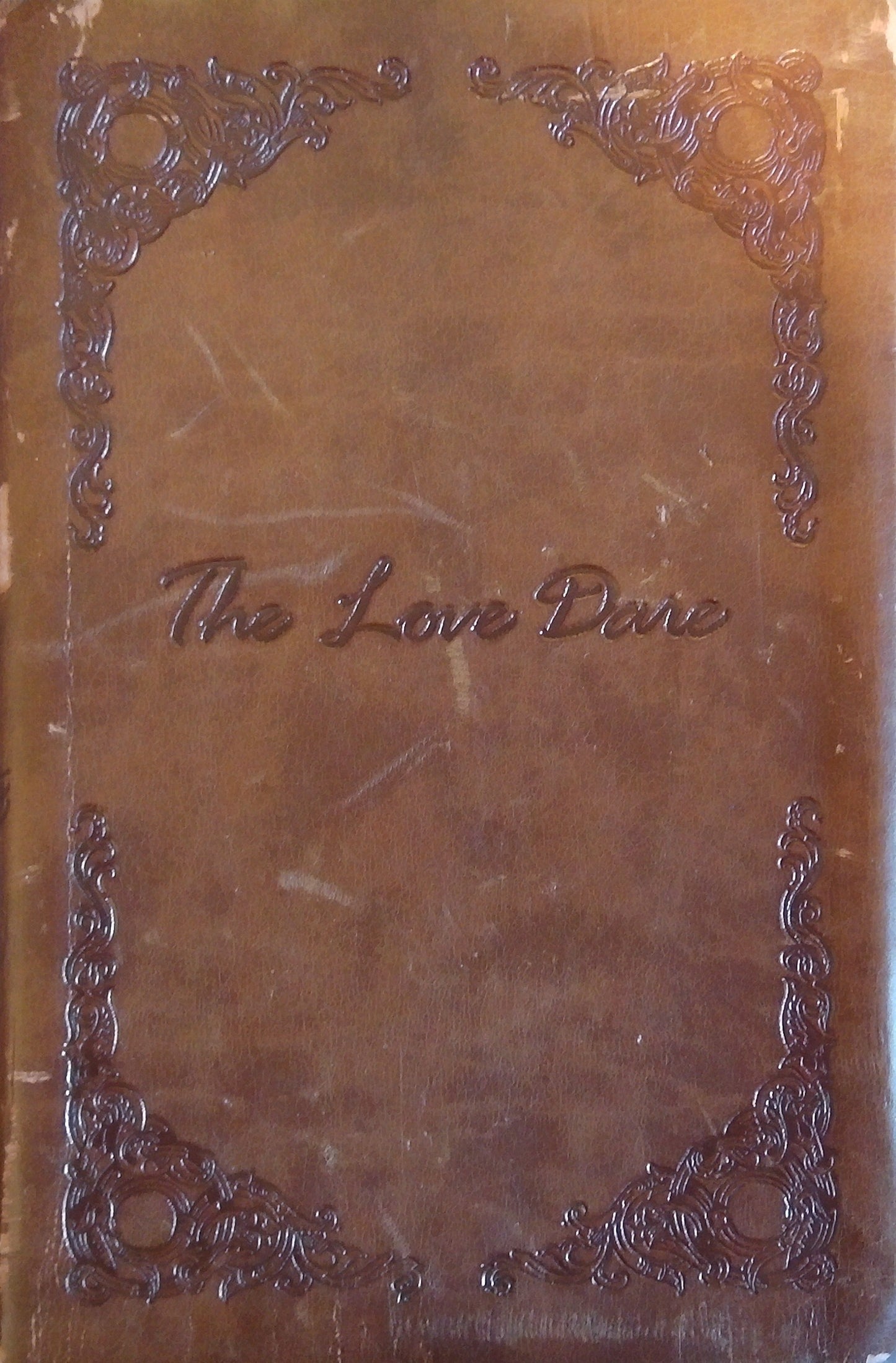 The Love Dare