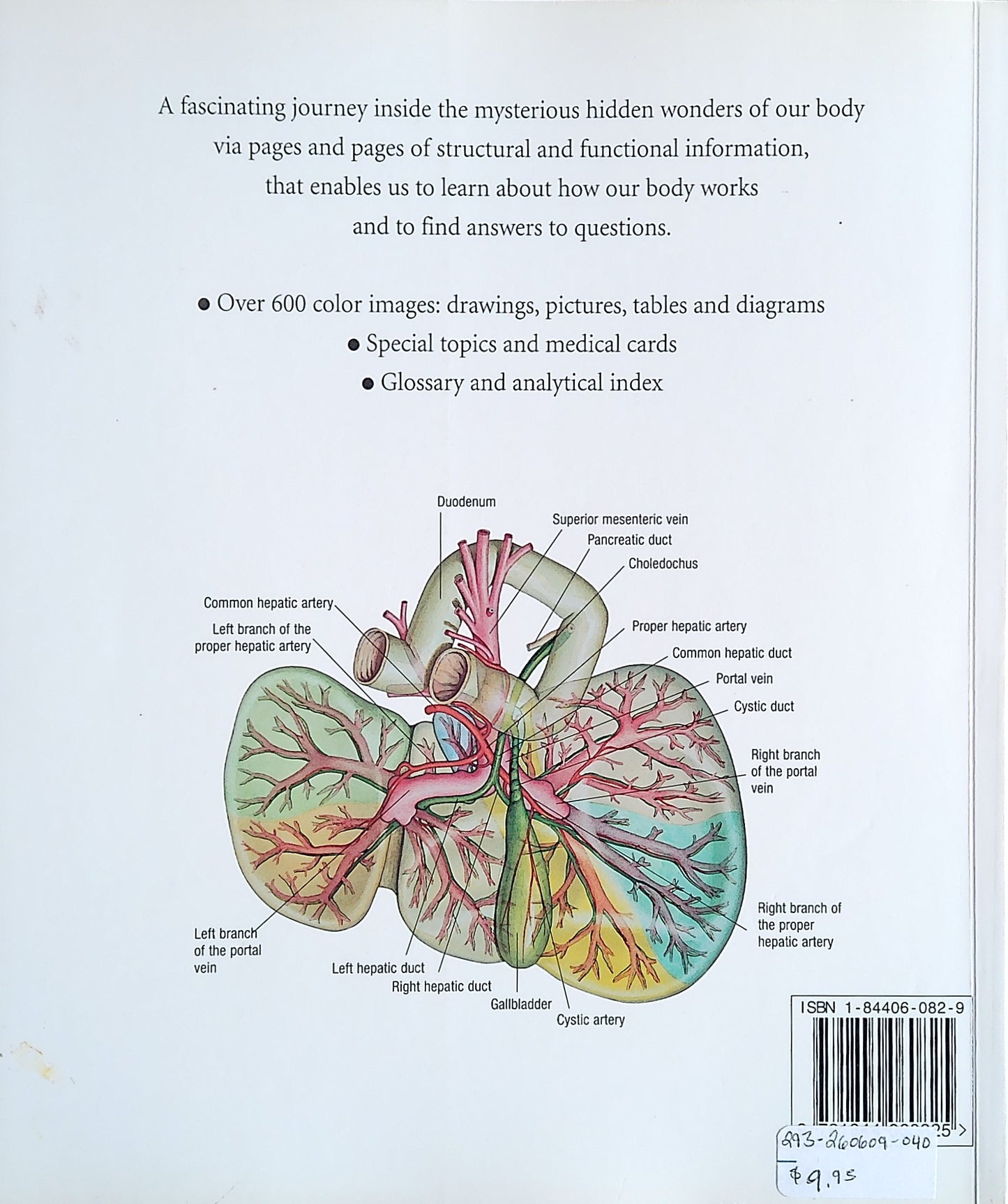 Atlas Of Anatomy