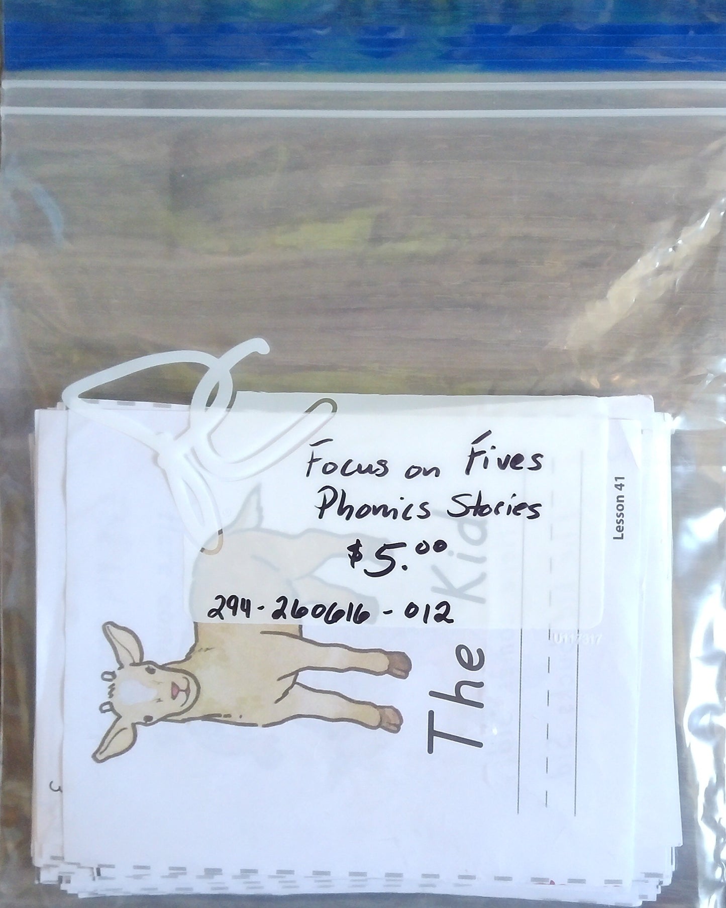 Focus On Fives Phonics Stories