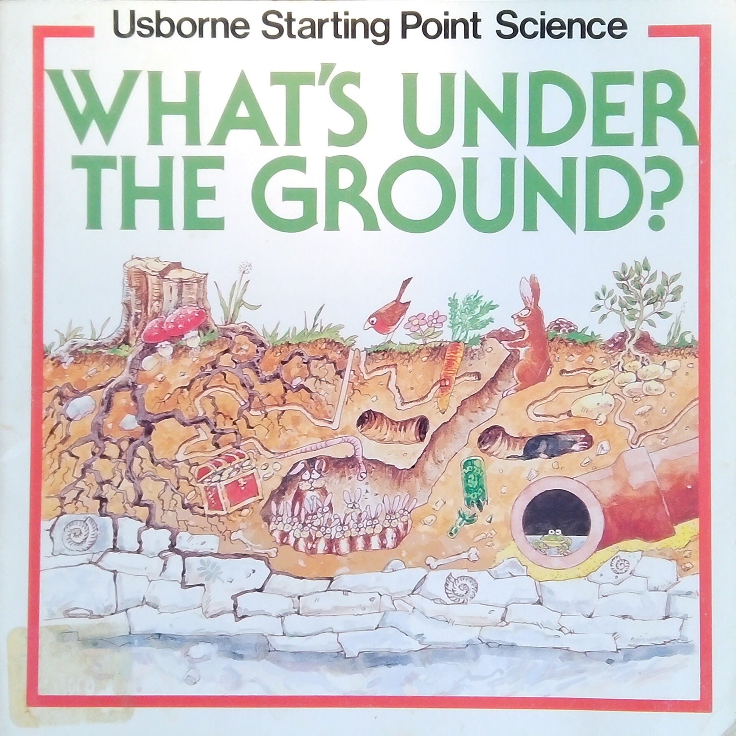 What's Under The Ground?