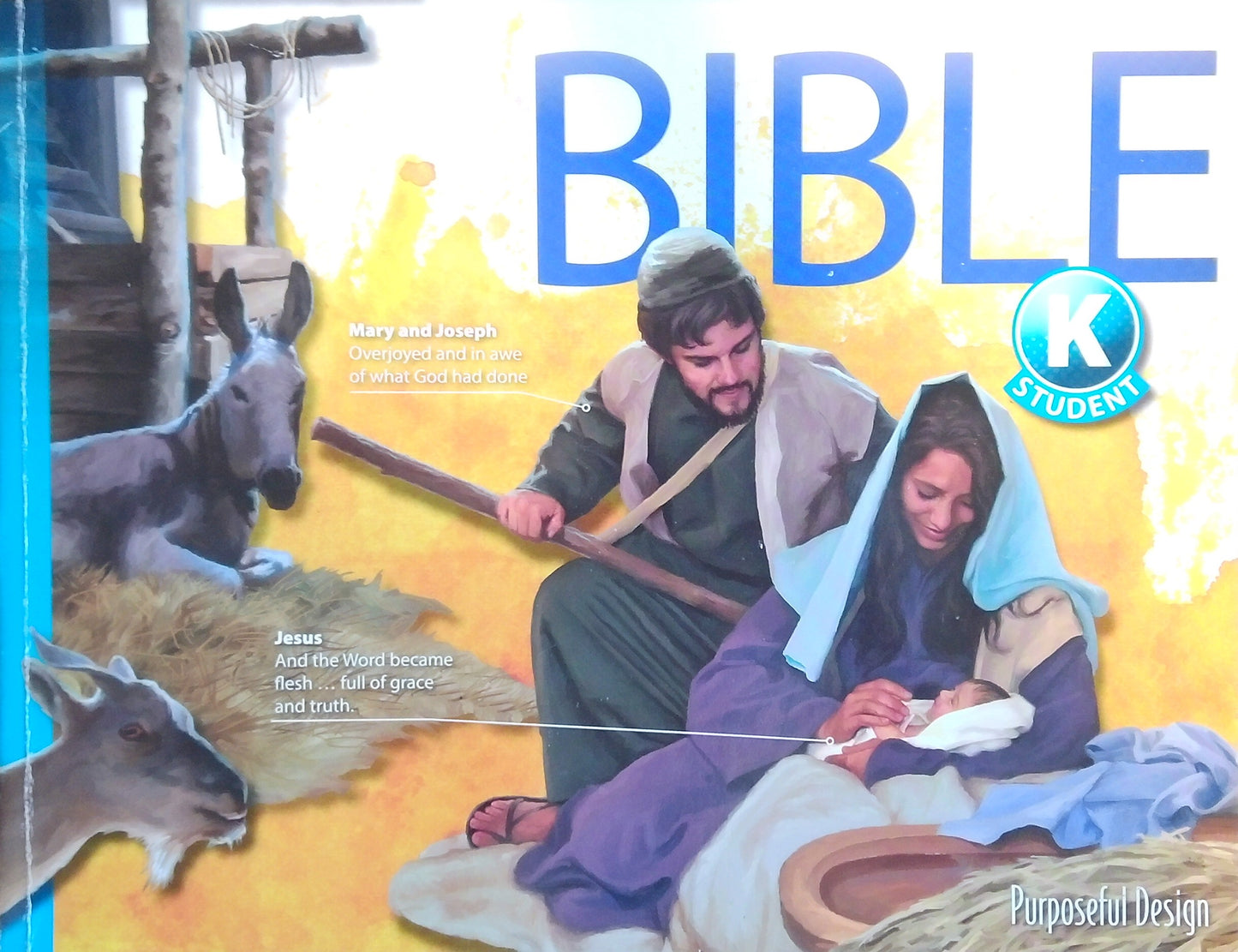 Purposeful Design: Bible K Student Book
