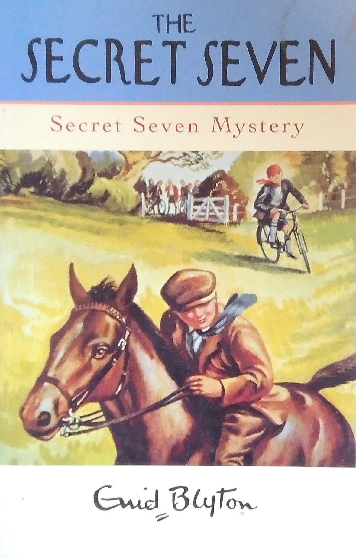 Secret Seven Mystery
